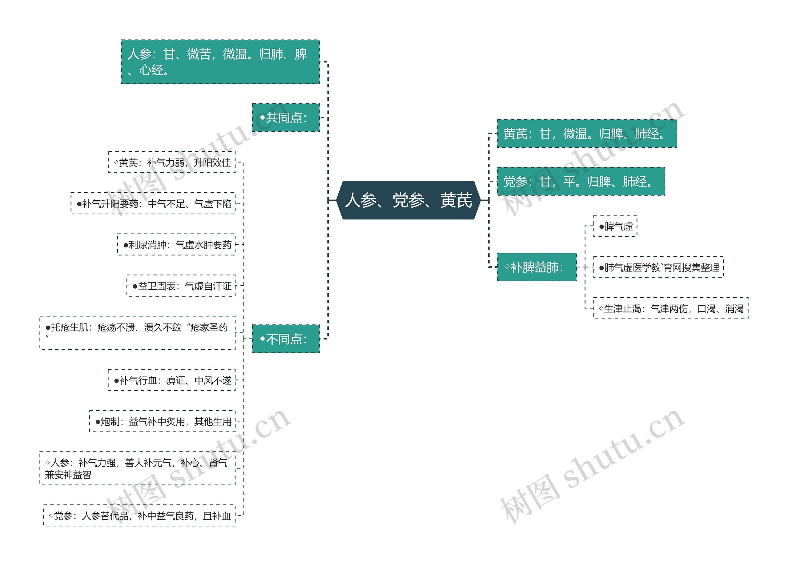 人参、党参、黄芪思维导图