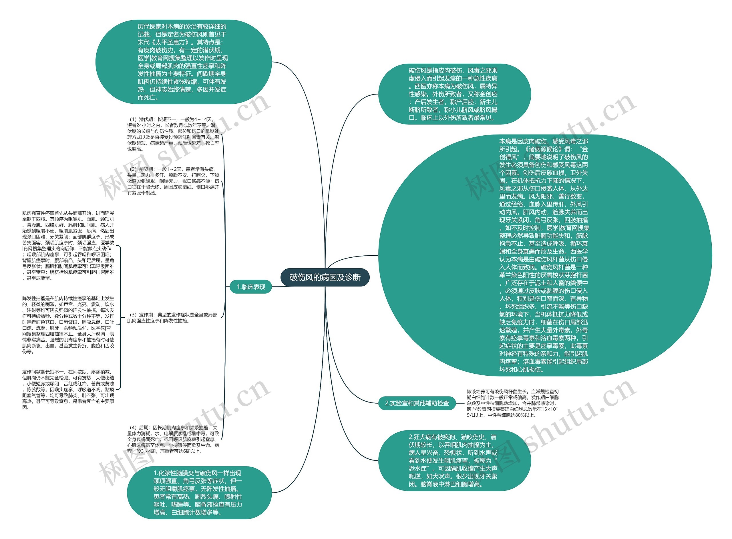 破伤风的病因及诊断思维导图
