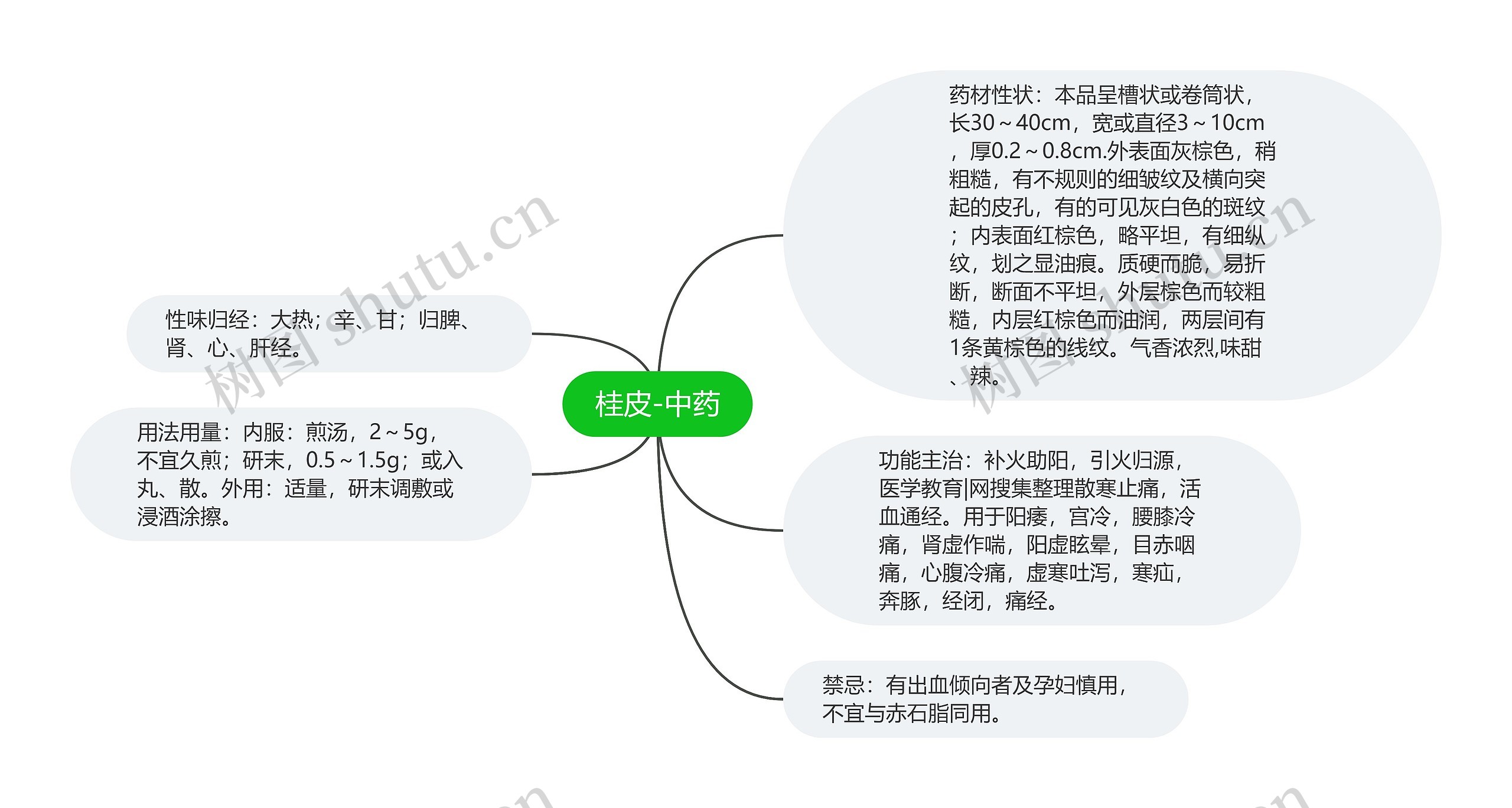 桂皮-中药思维导图