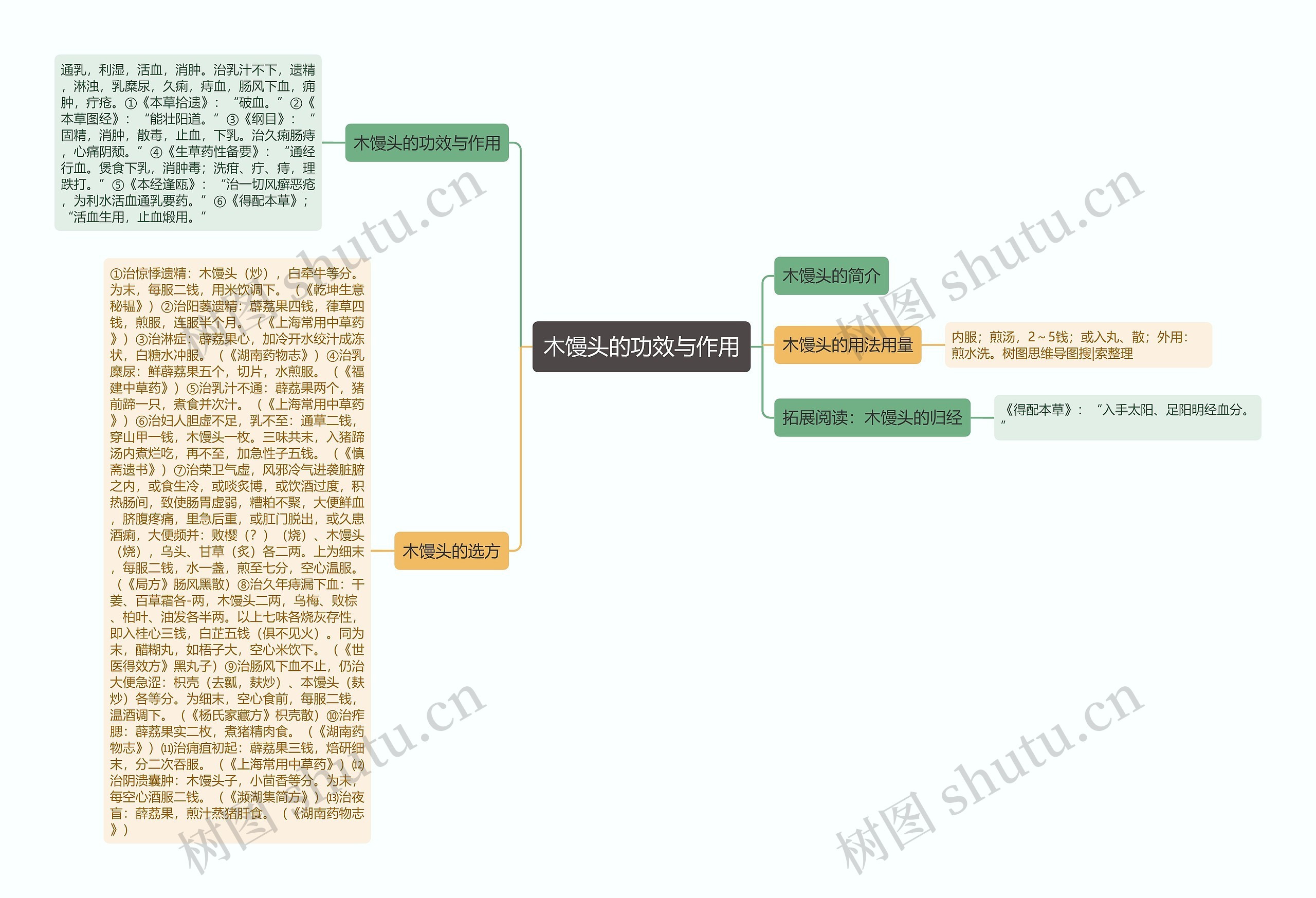 木馒头的功效与作用思维导图