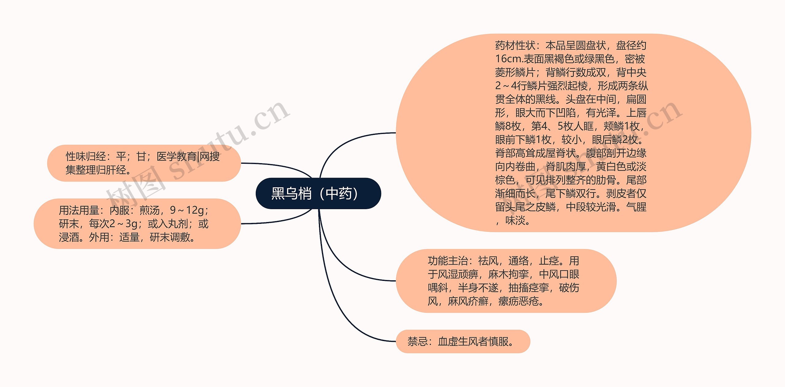 黑乌梢（中药）思维导图