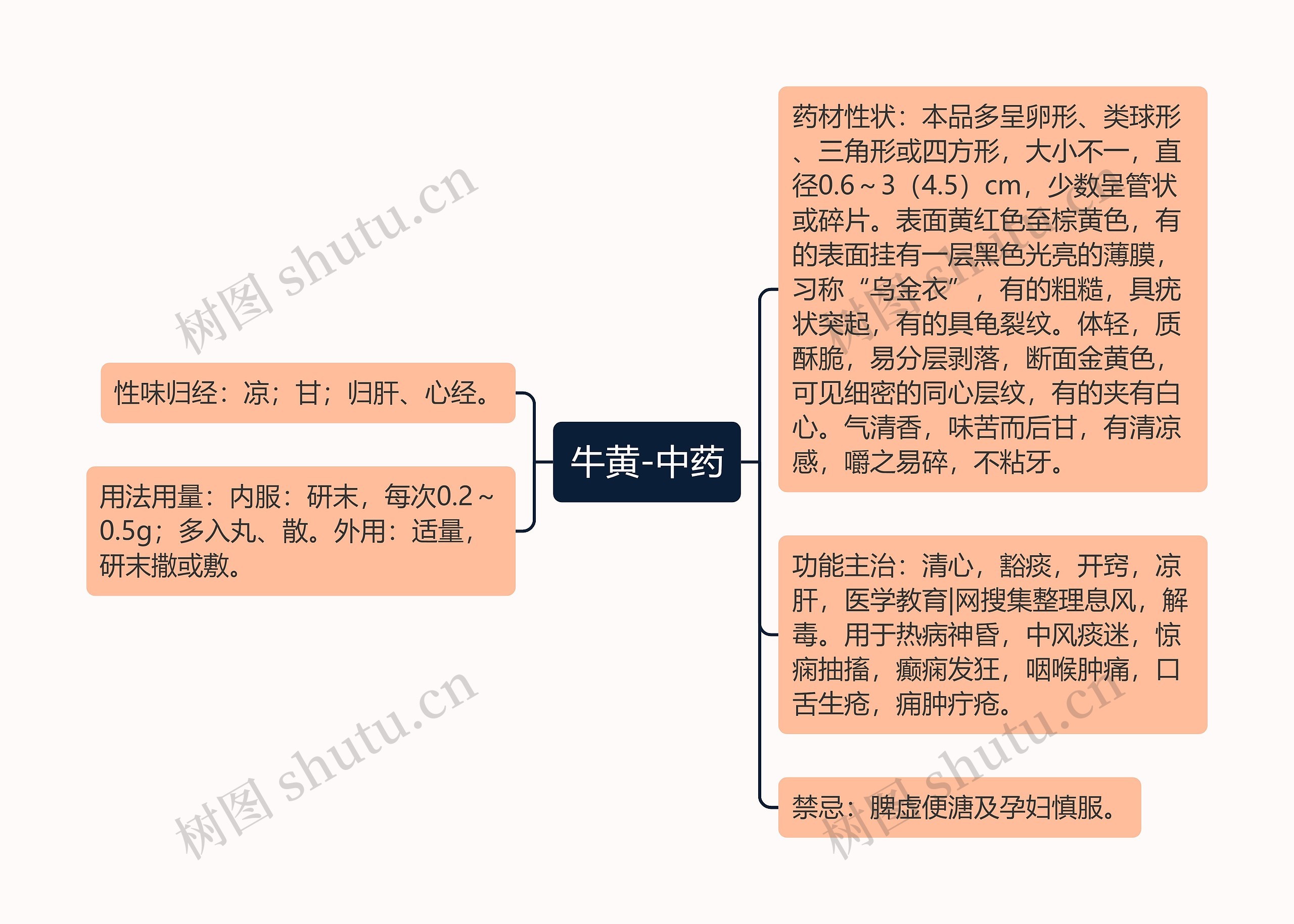 牛黄-中药 牛黄-中药