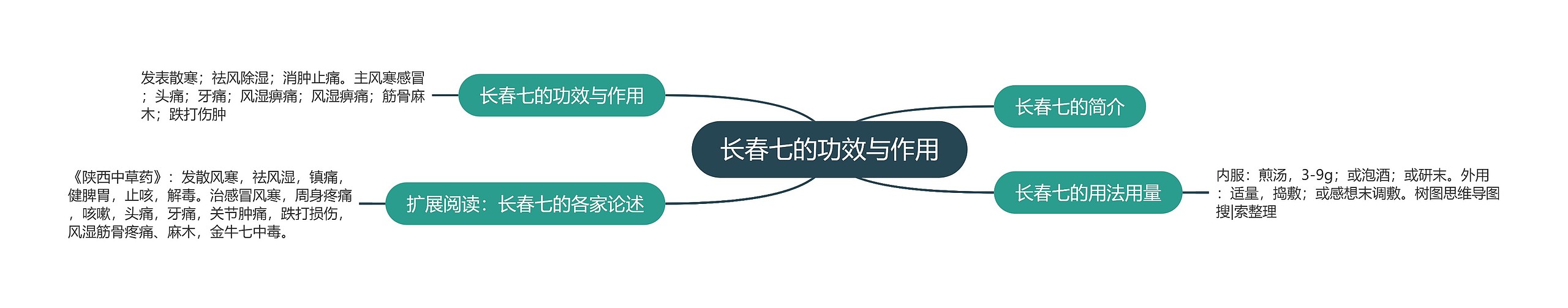 长春七的功效与作用 长春七的功效与作用