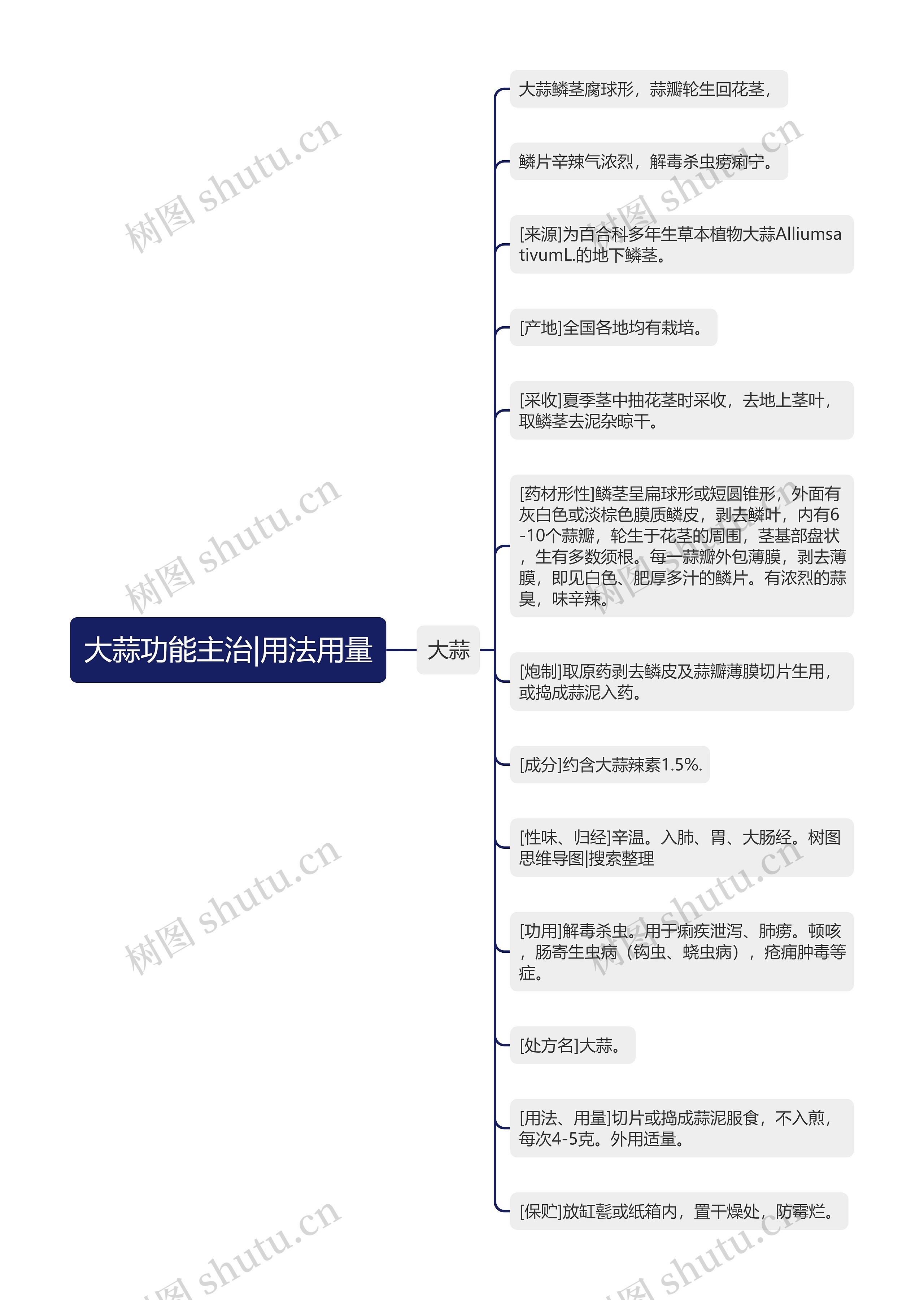 大蒜功能主治|用法用量