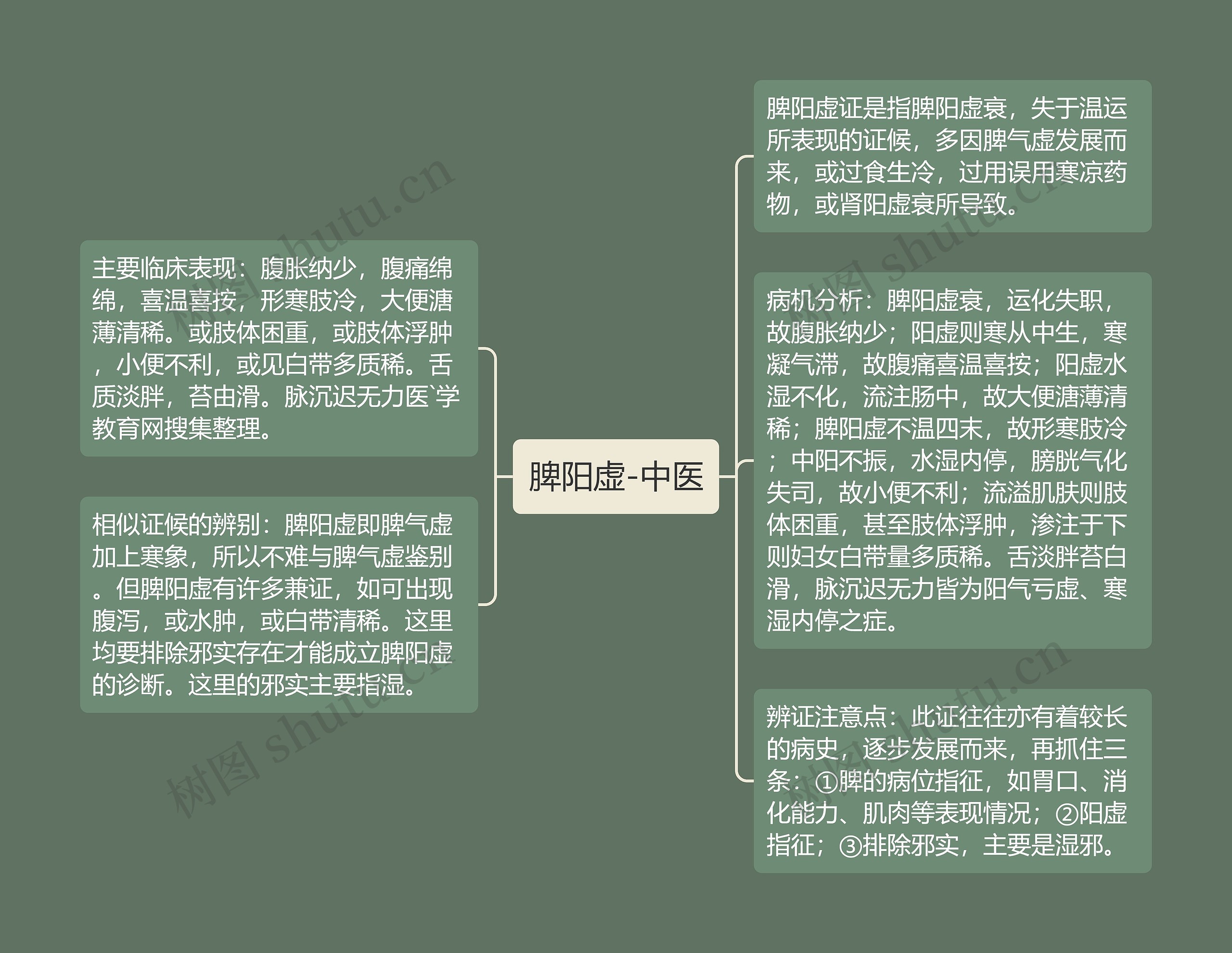 脾阳虚-中医思维导图