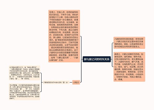 腑与腑之间的相互关系