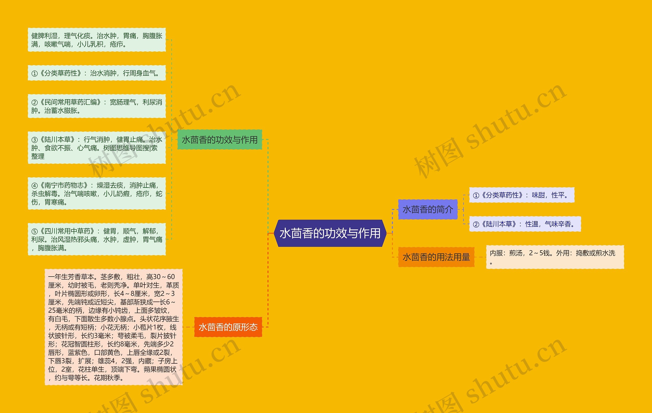 水茴香的功效与作用 水茴香的功效与作用