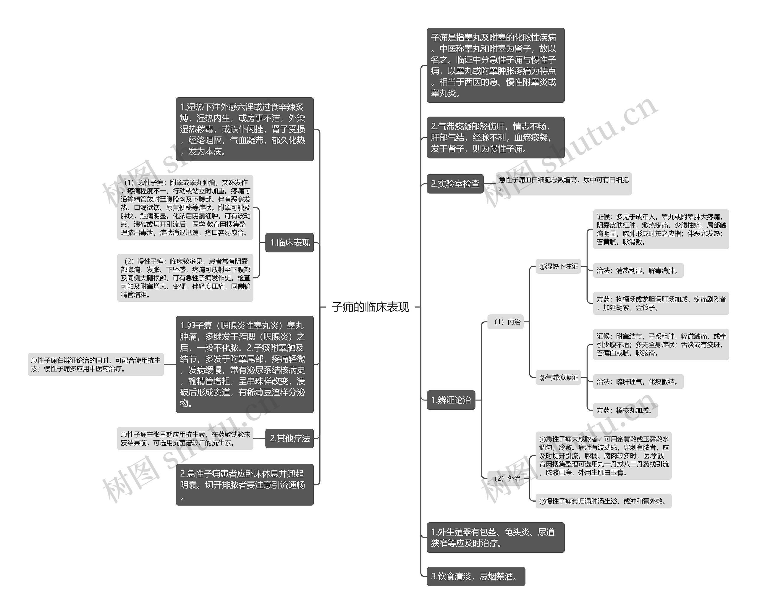 子痈的临床表现思维导图