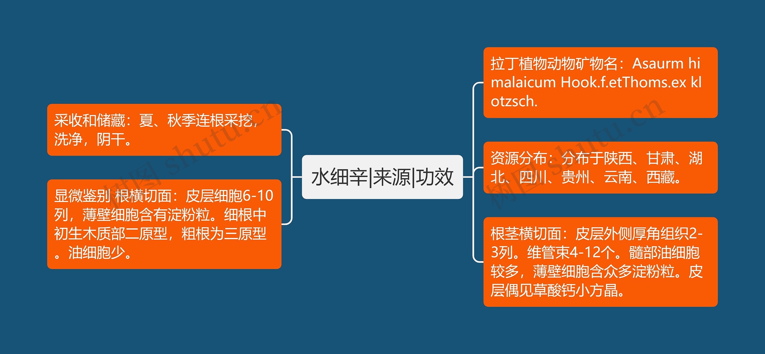 水细辛|来源|功效