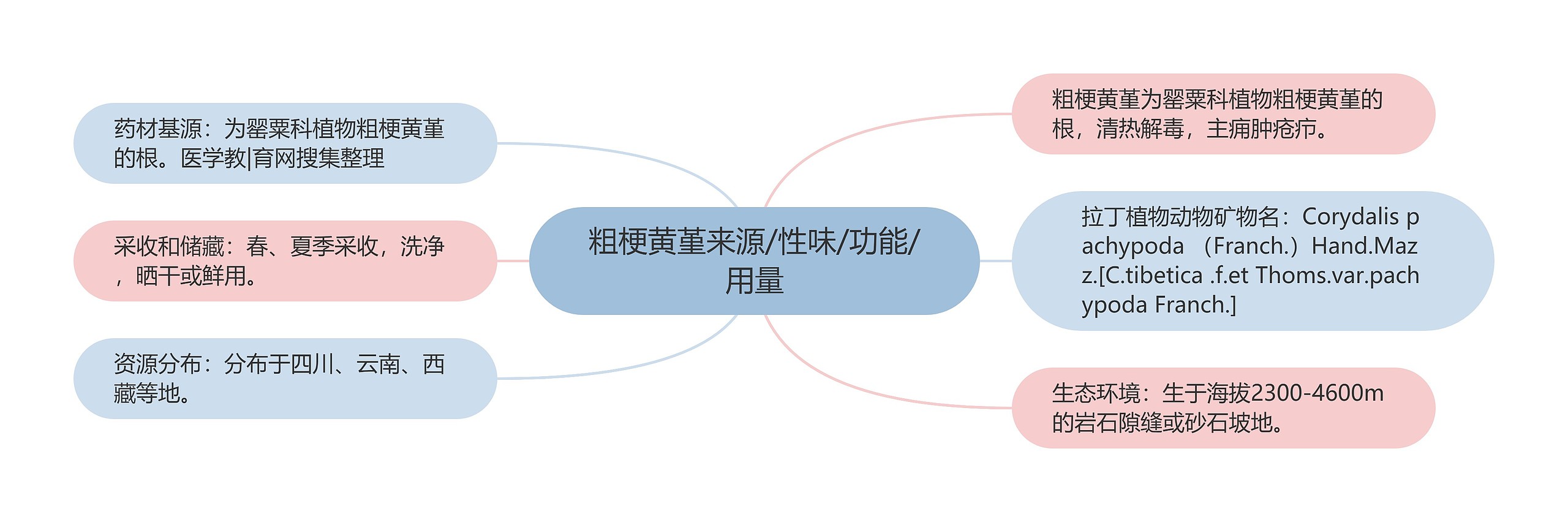 粗梗黄堇来源/性味/功能/用量思维导图