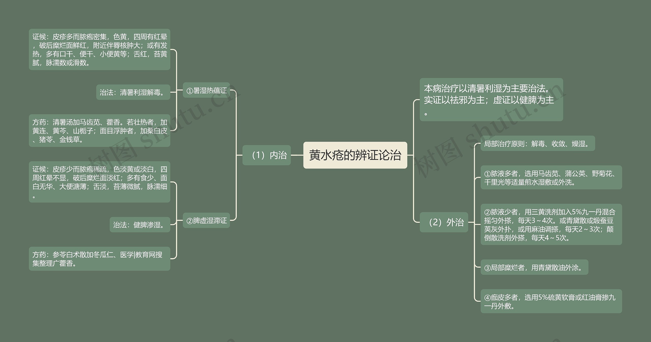 黄水疮的辨证论治