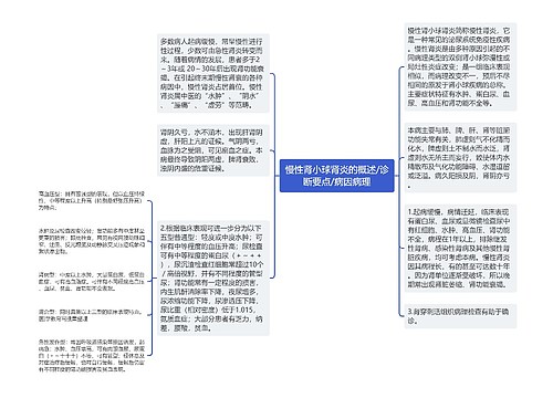 慢性肾小球肾炎的概述/诊断要点/病因病理