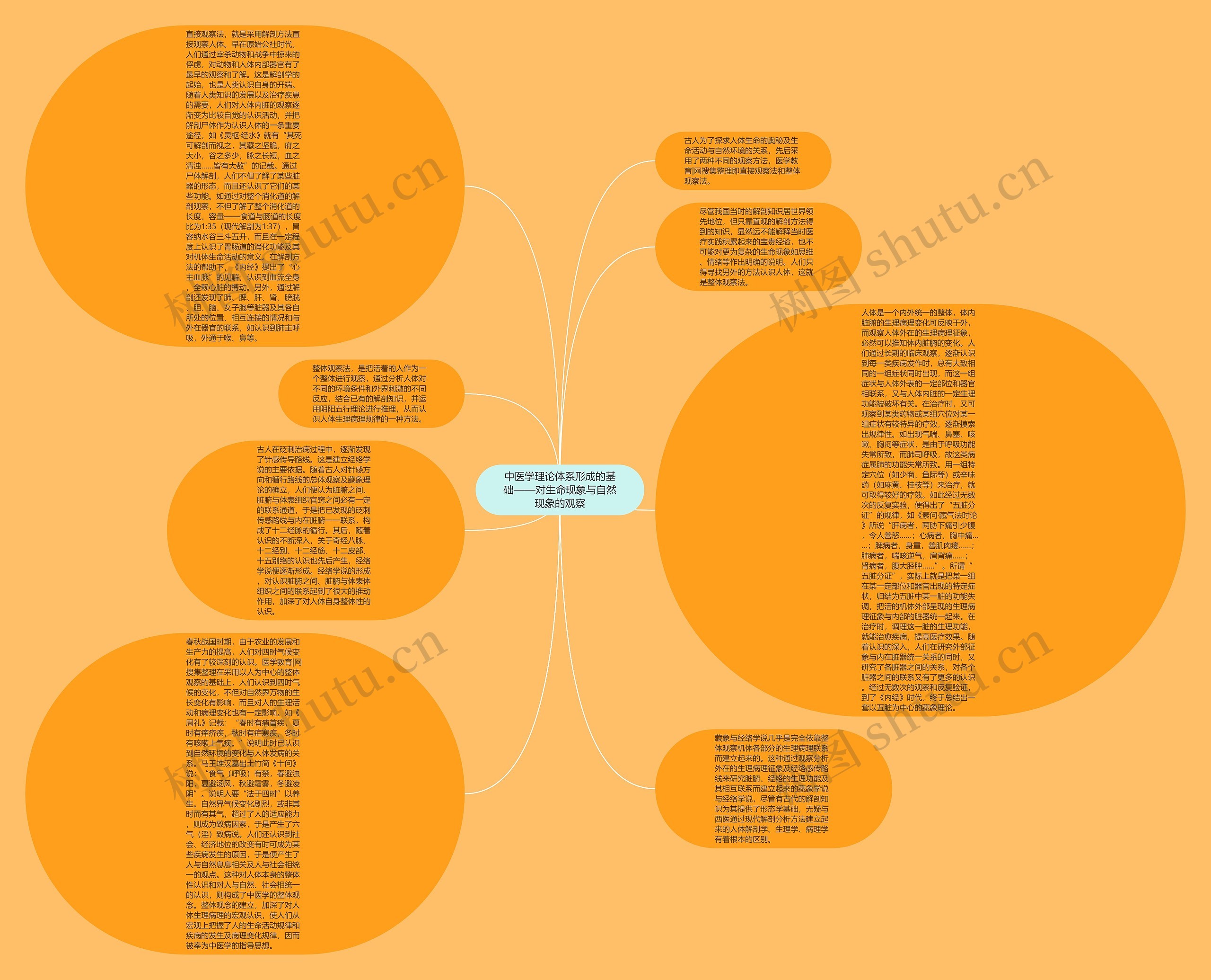 中医学理论体系形成的基础——对生命现象与自然现象的观察思维导图