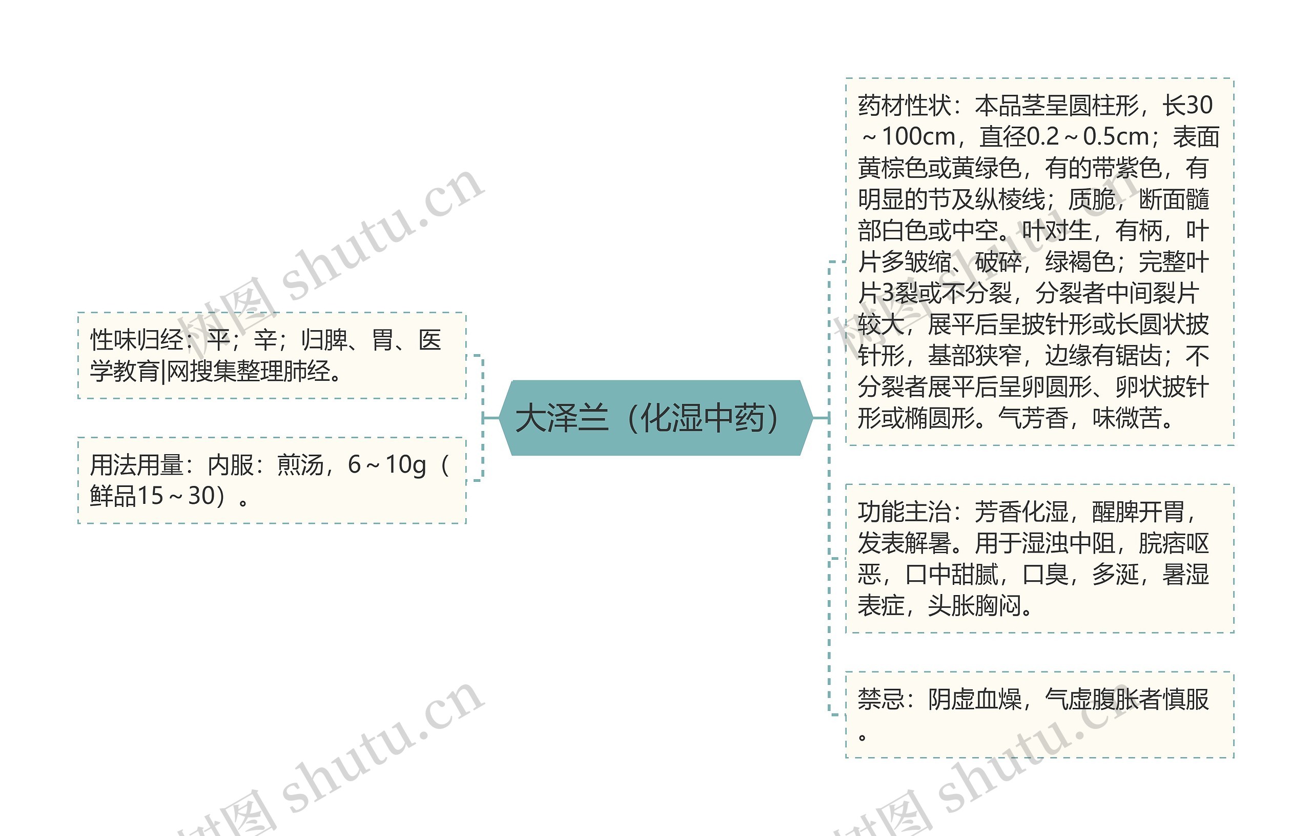 大泽兰（化湿中药）思维导图