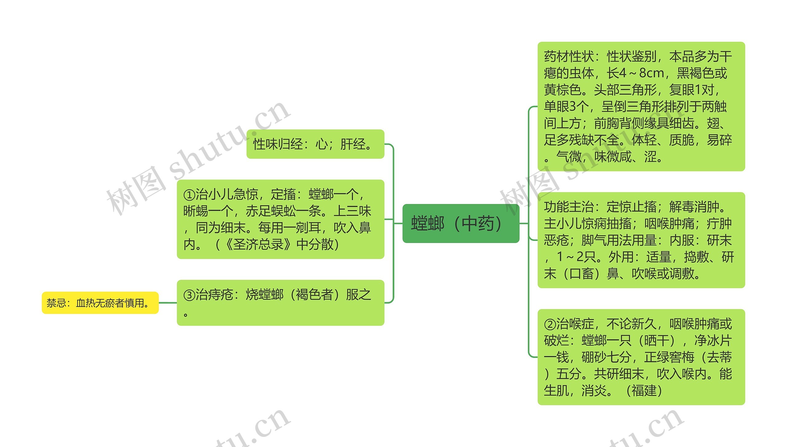 螳螂（中药）思维导图