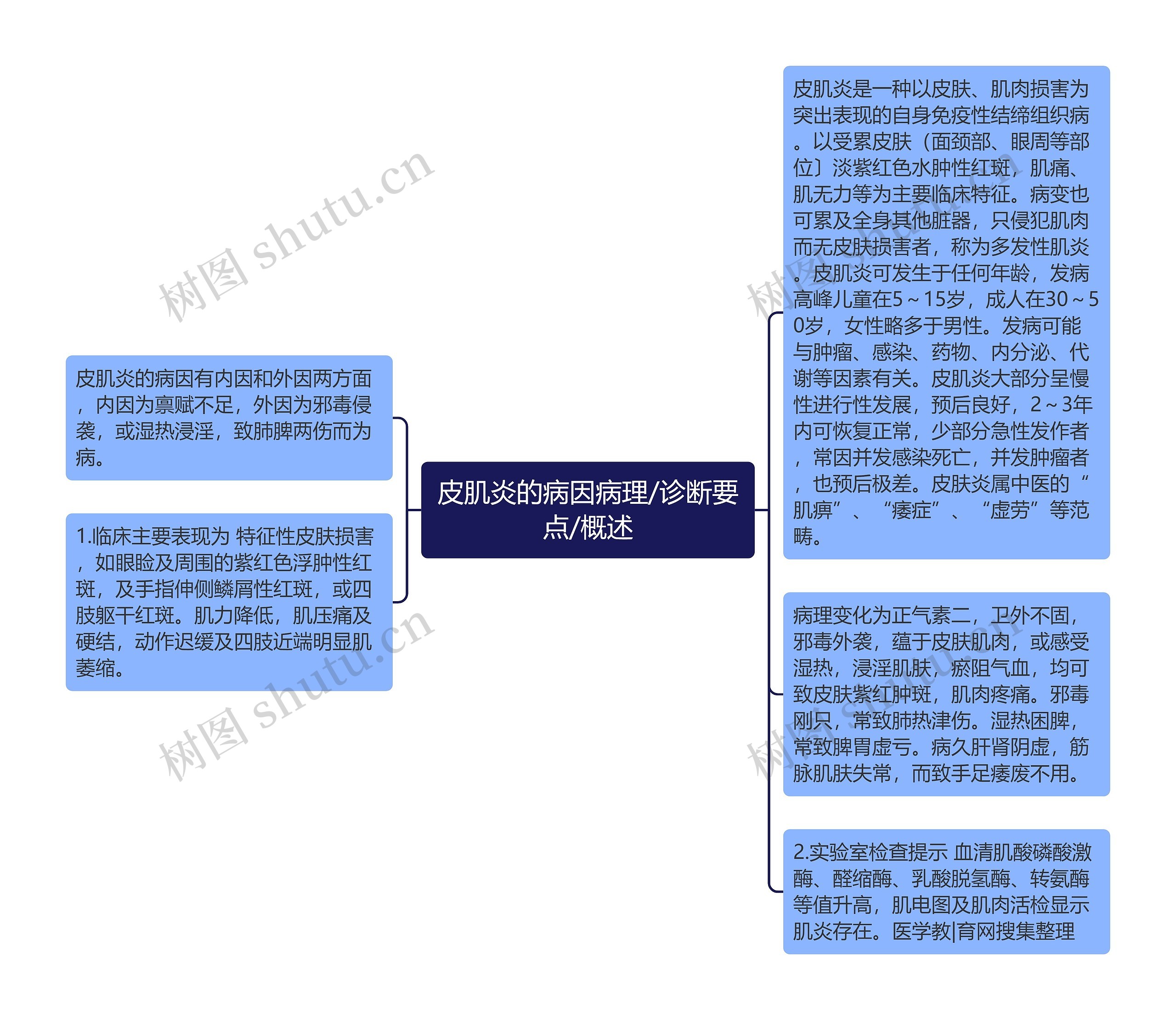 皮肌炎的病因病理/诊断要点/概述思维导图