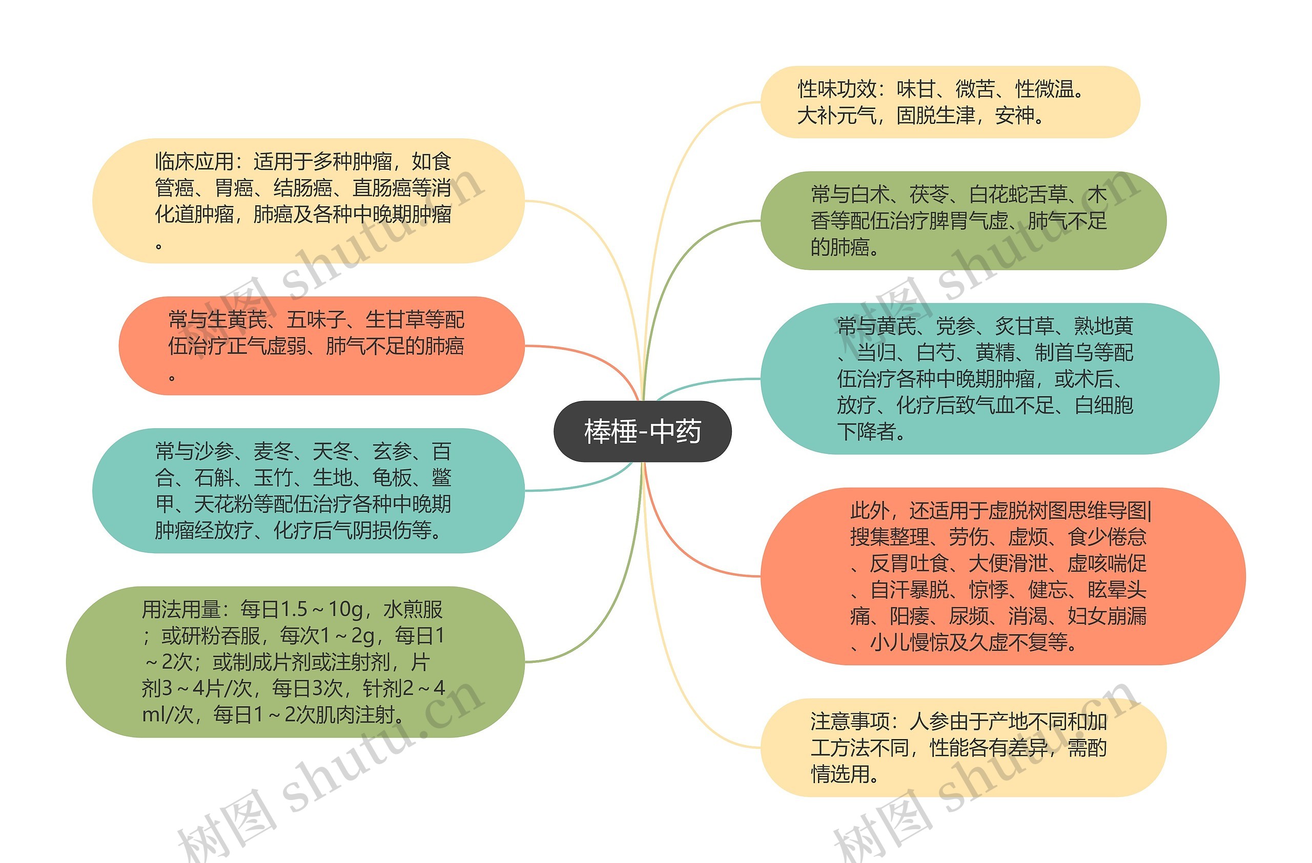 棒棰-中药 棒棰-中药