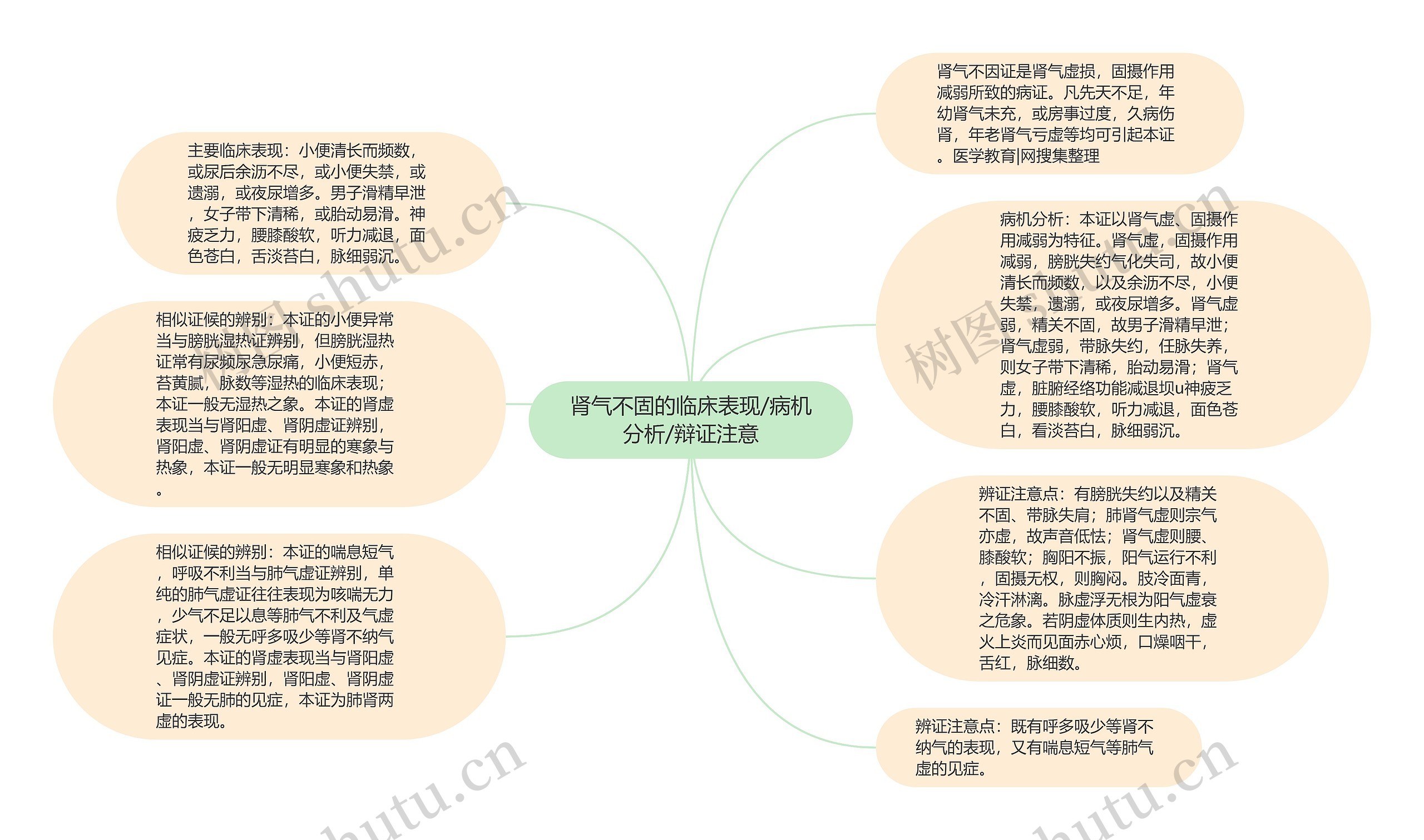 肾气不固的临床表现/病机分析/辩证注意思维导图