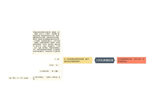 八月札|来源|功效