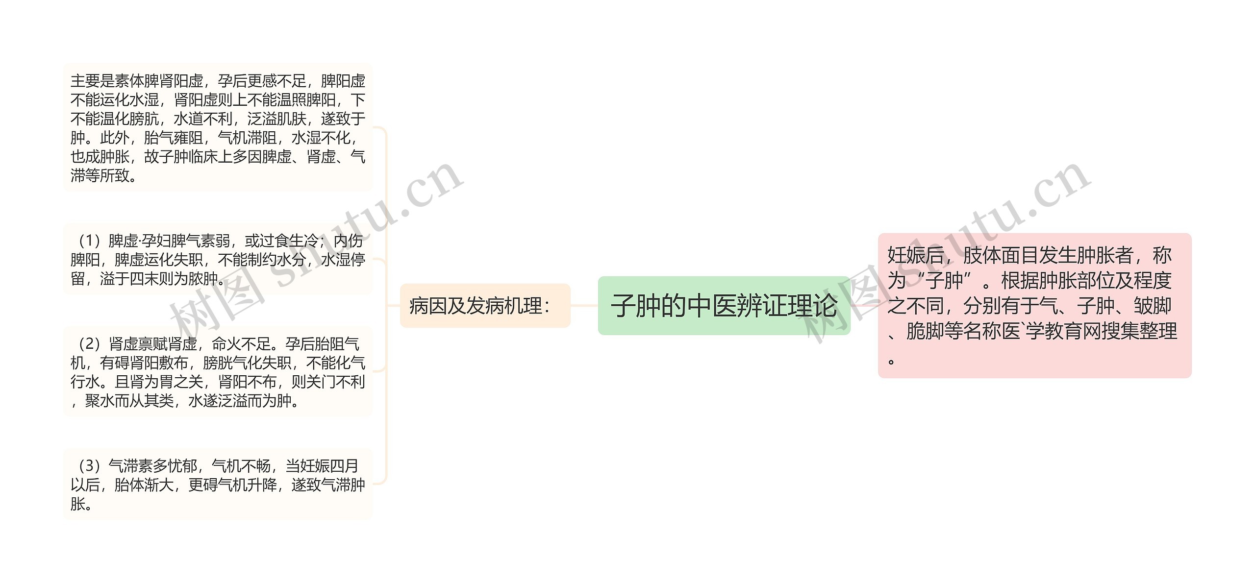 子肿的中医辨证理论