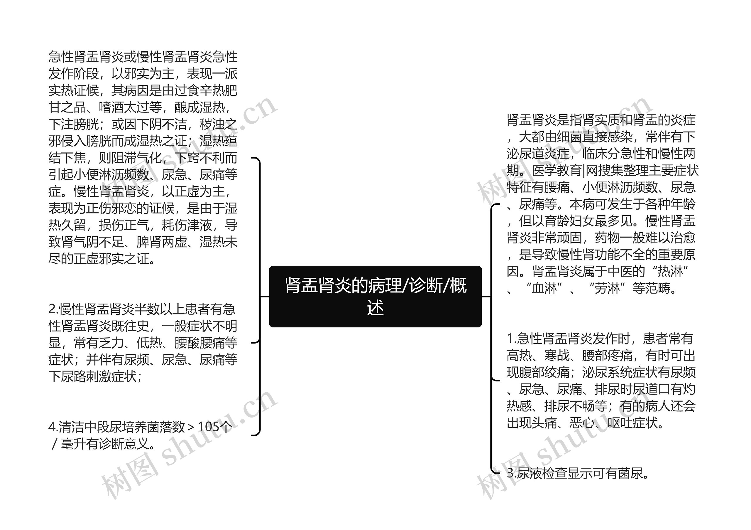 肾盂肾炎的病理/诊断/概述思维导图