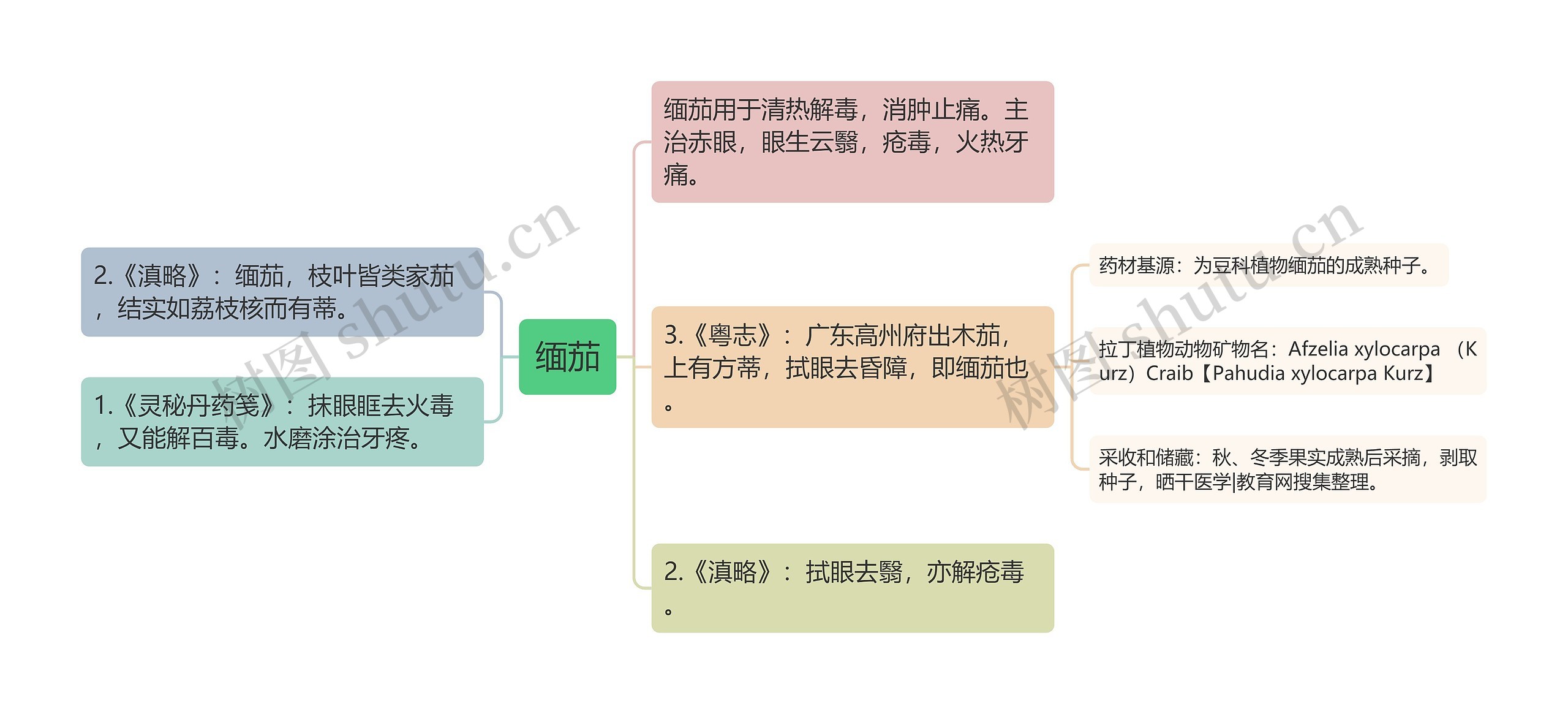 缅茄思维导图