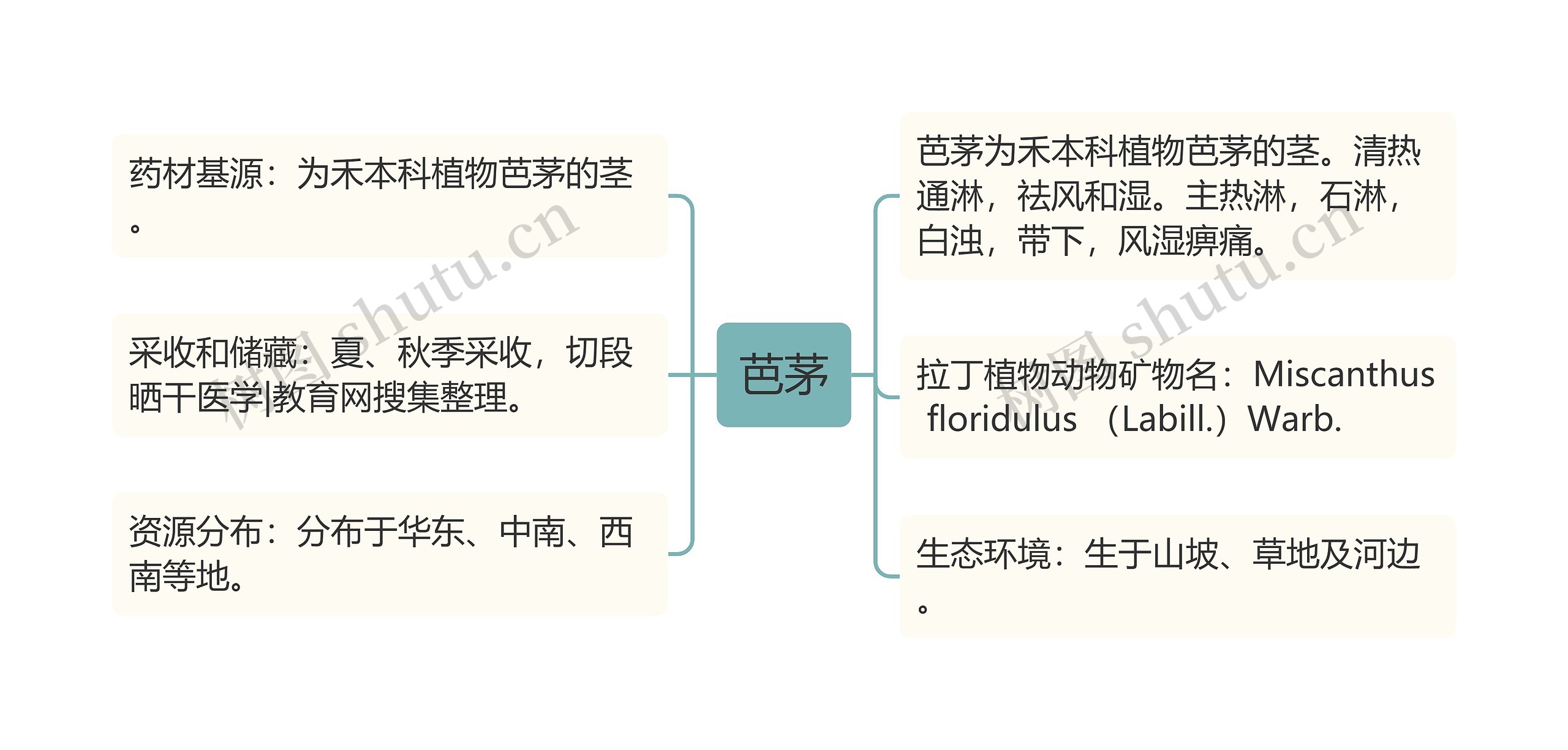 芭茅思维导图