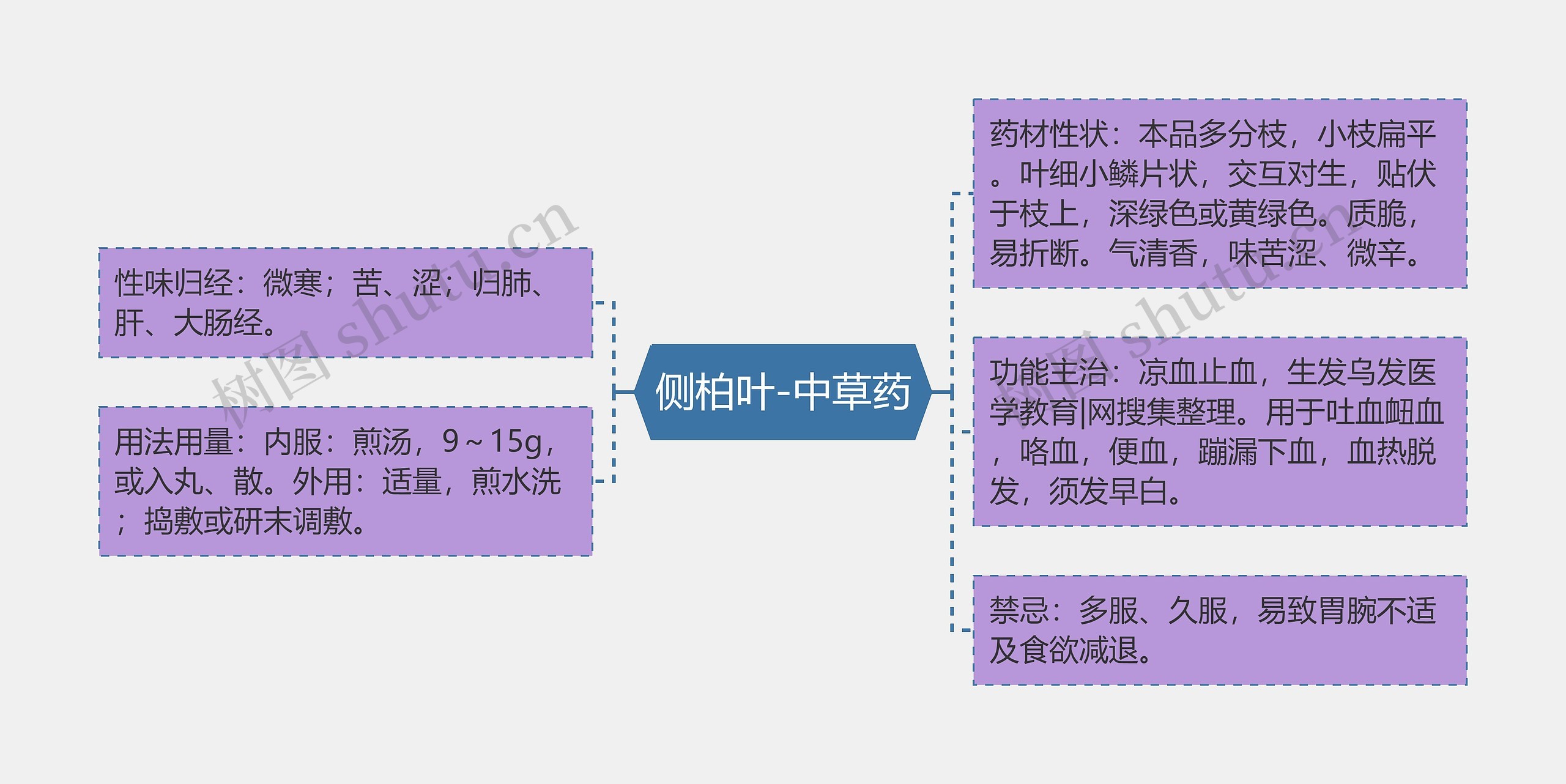 侧柏叶-中草药思维导图