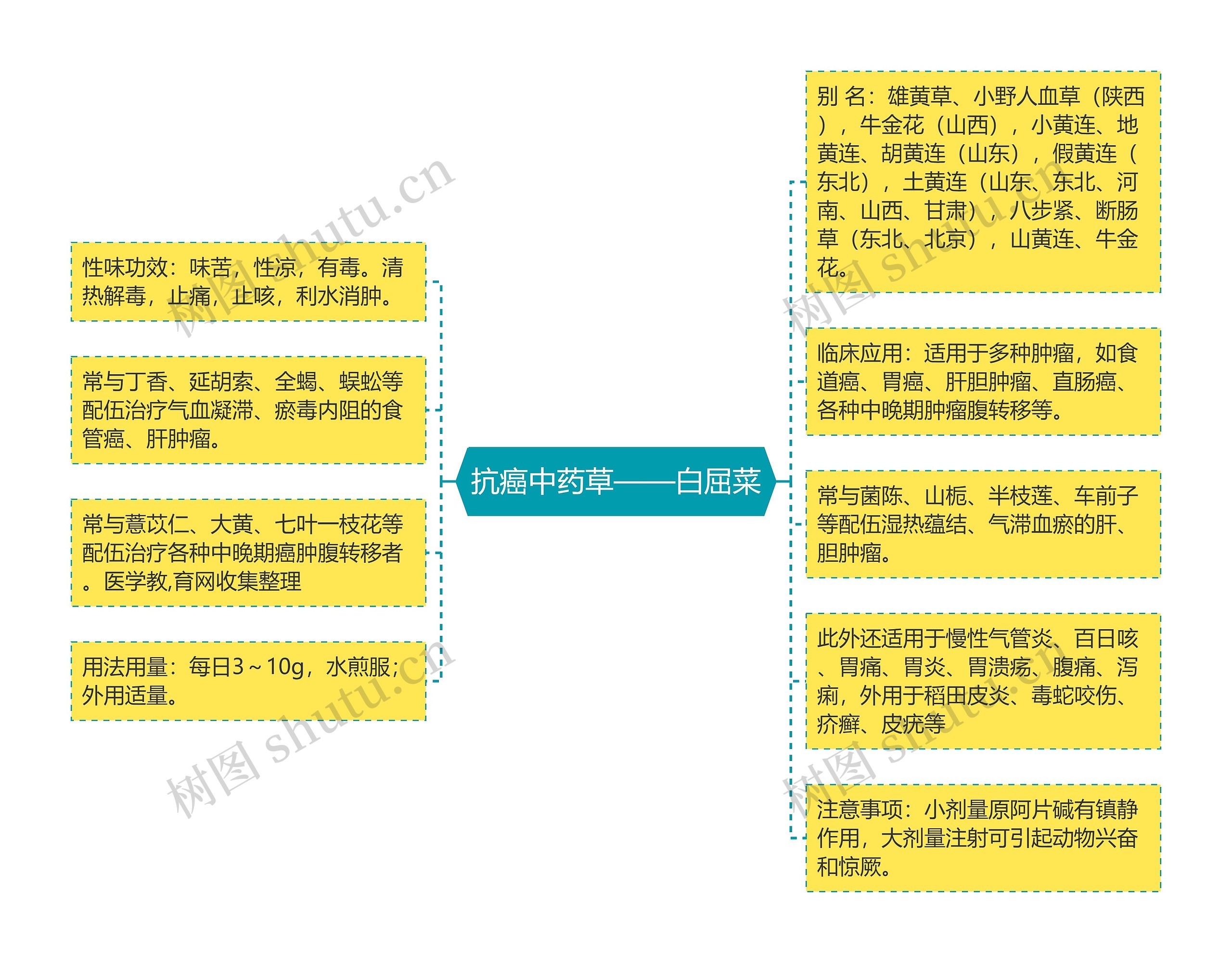 抗癌中药草——白屈菜 抗癌中药草——白屈菜
