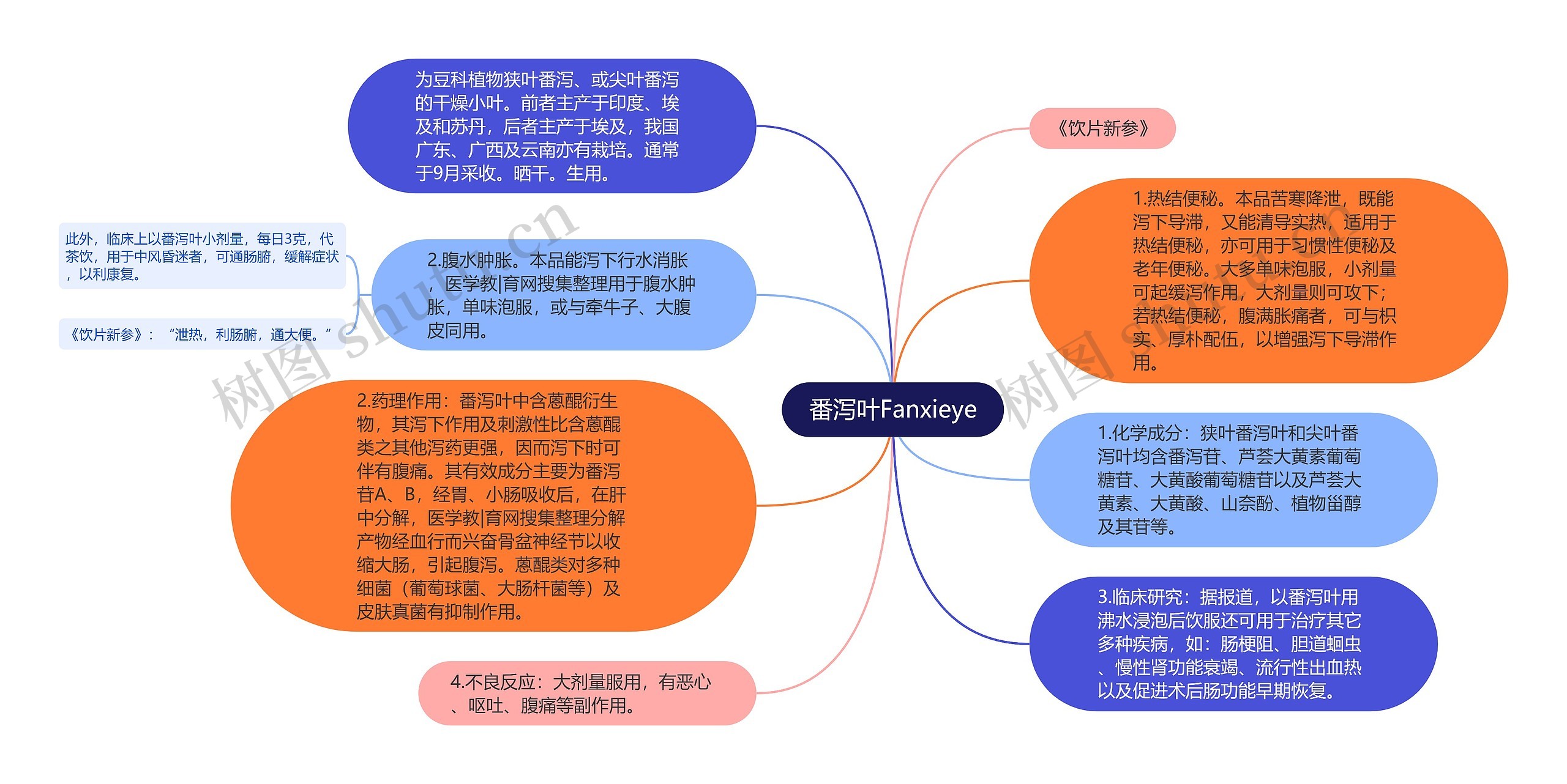 番泻叶Fanxieye思维导图