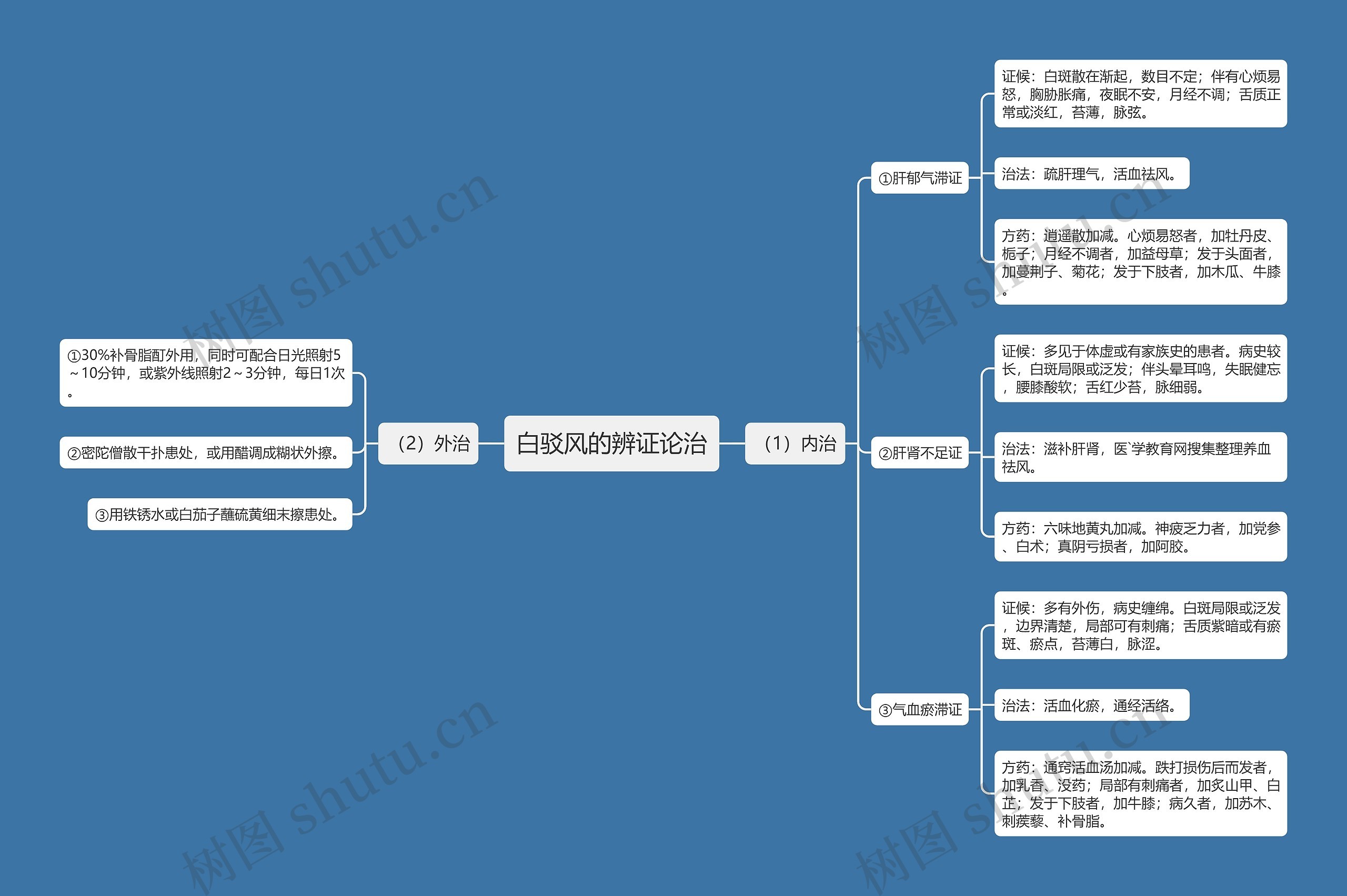 白驳风的辨证论治思维导图