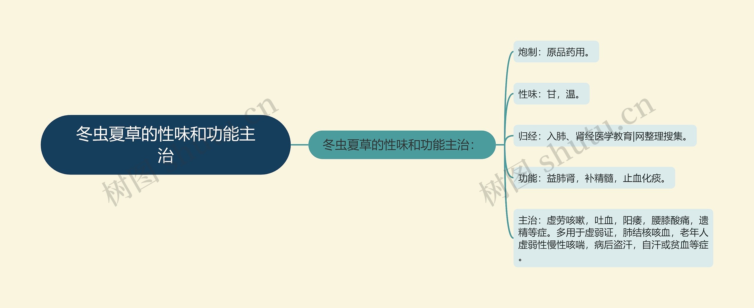 冬虫夏草的性味和功能主治思维导图