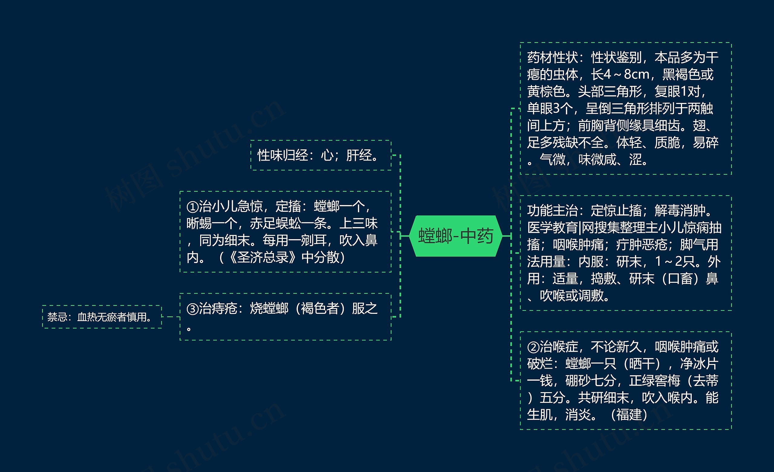 螳螂-中药思维导图