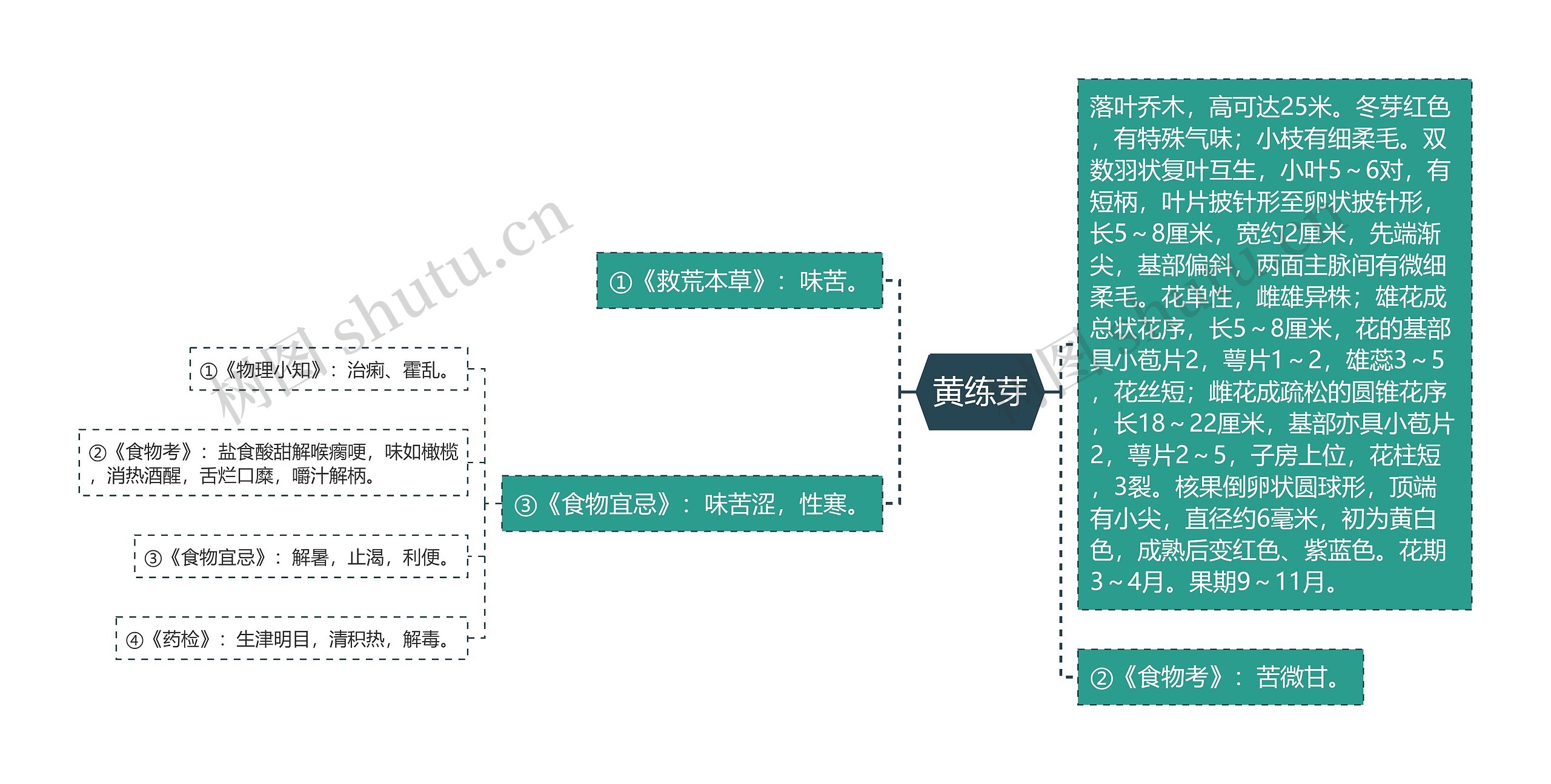黄练芽思维导图高清图 黄练芽思维导图