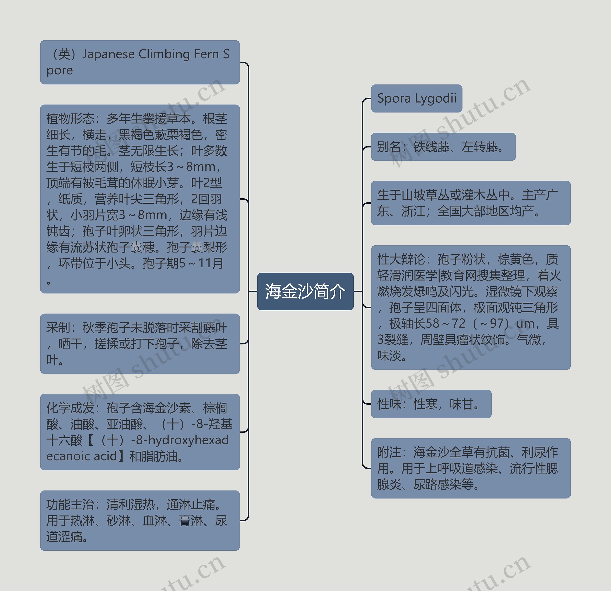 海金沙简介 海金沙简介