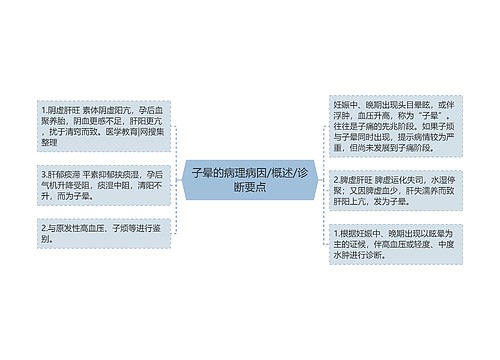 子晕的病理病因/概述/诊断要点