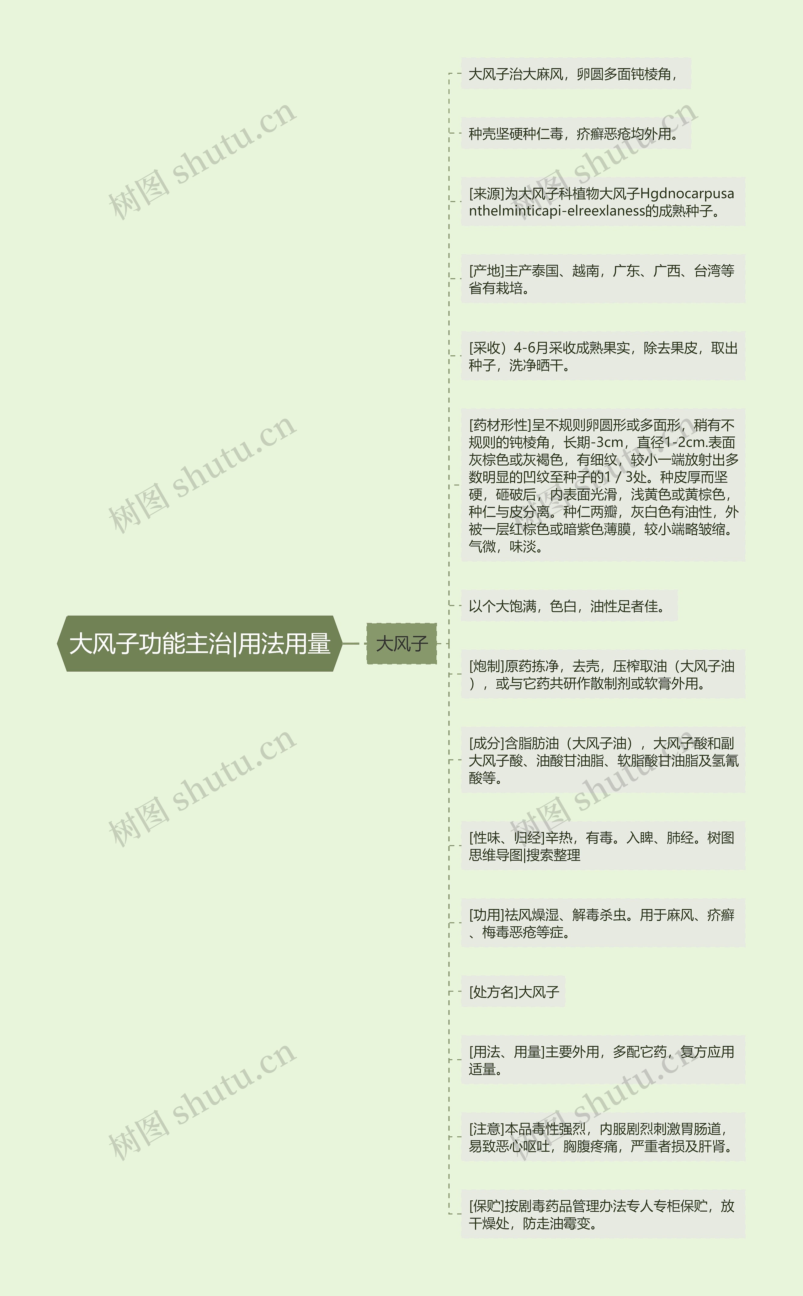 大风子功能主治|用法用量