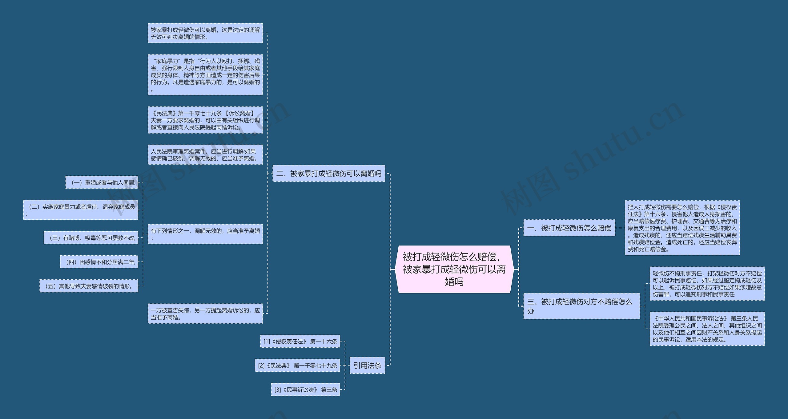 被打成轻微伤怎么赔偿，被家暴打成轻微伤可以离婚吗思维导图