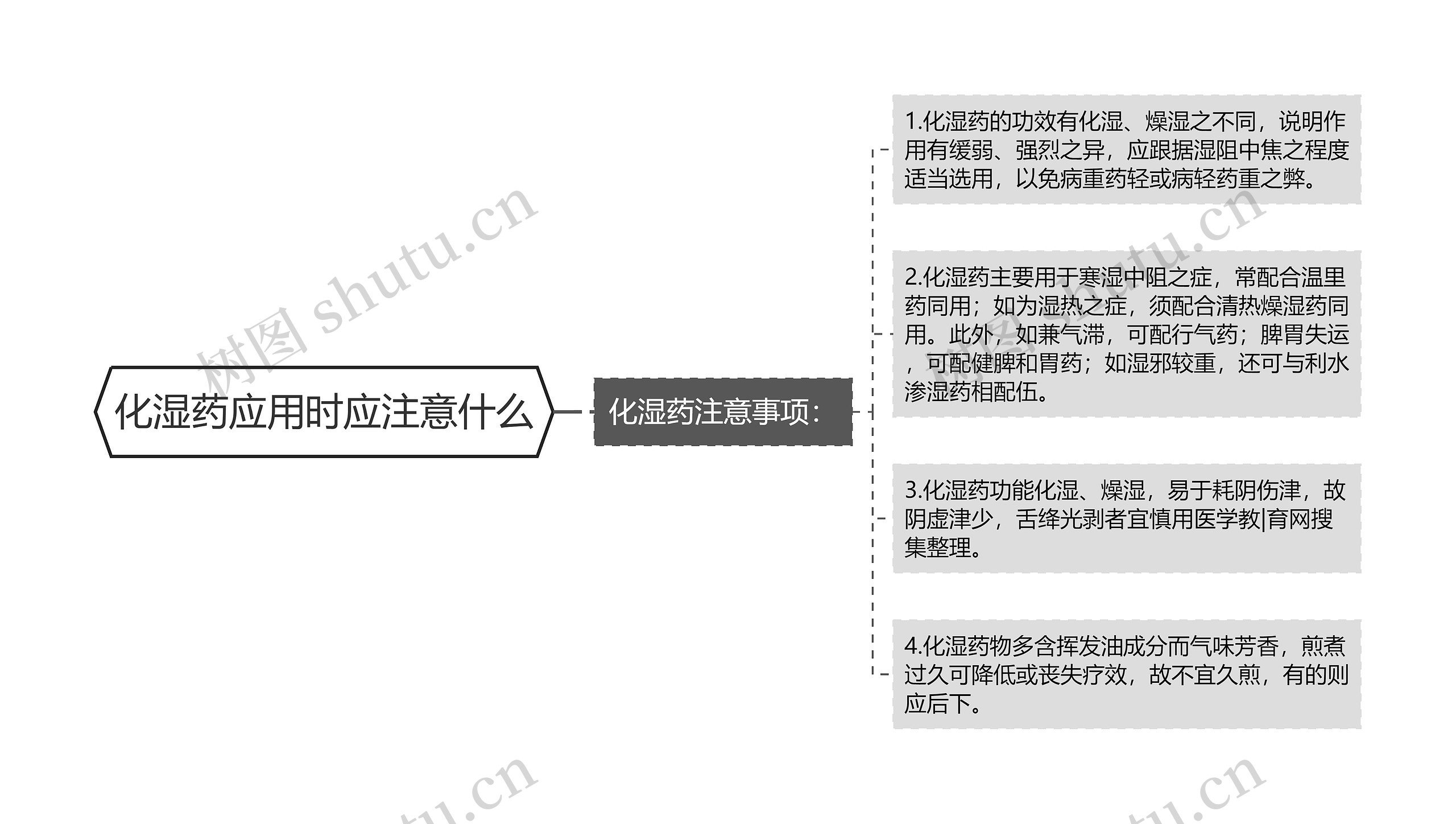 化湿药应用时应注意什么思维导图