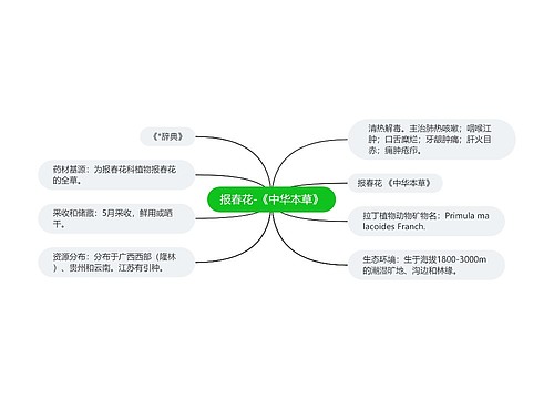 报春花-《中华本草》