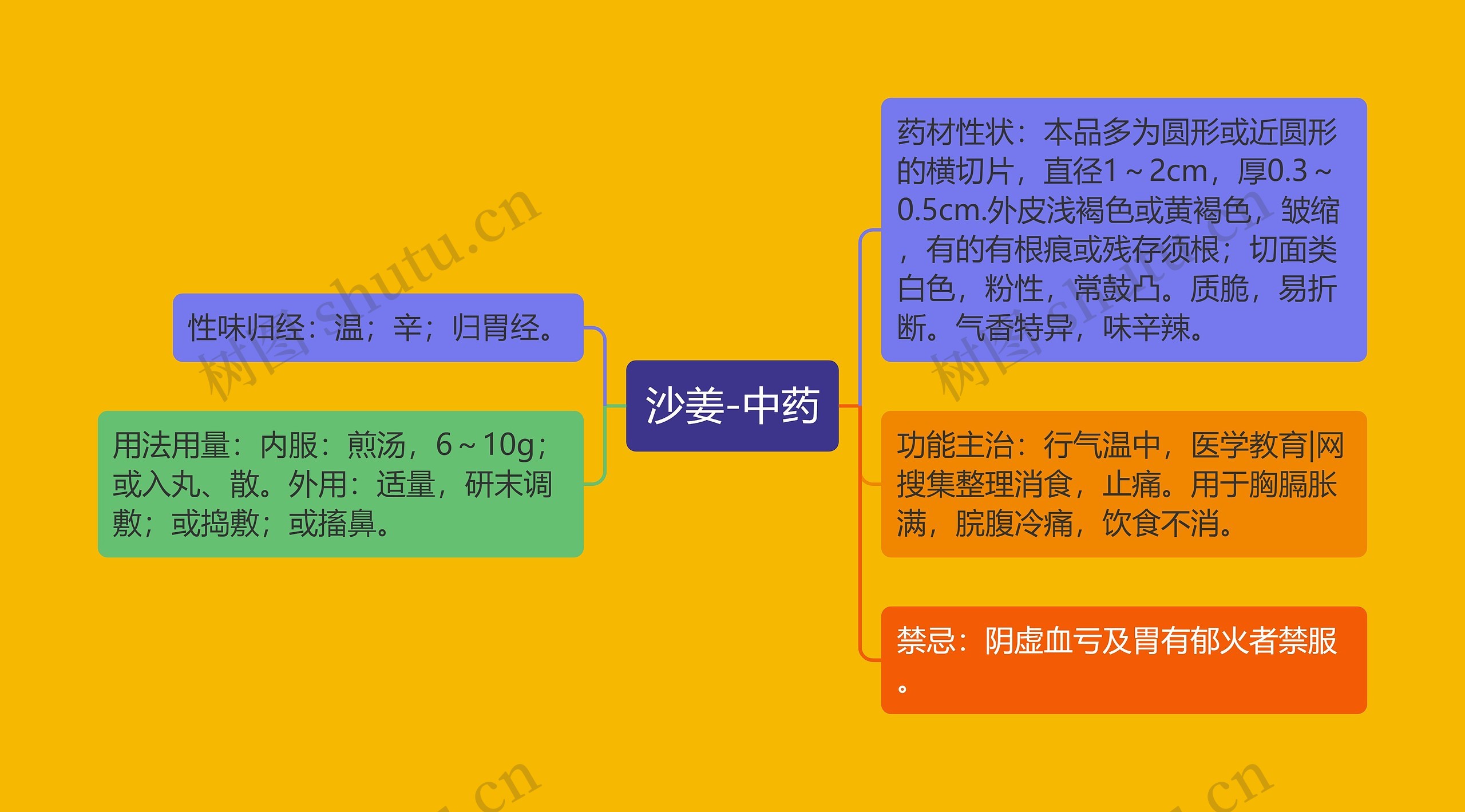 沙姜-中药 沙姜-中药