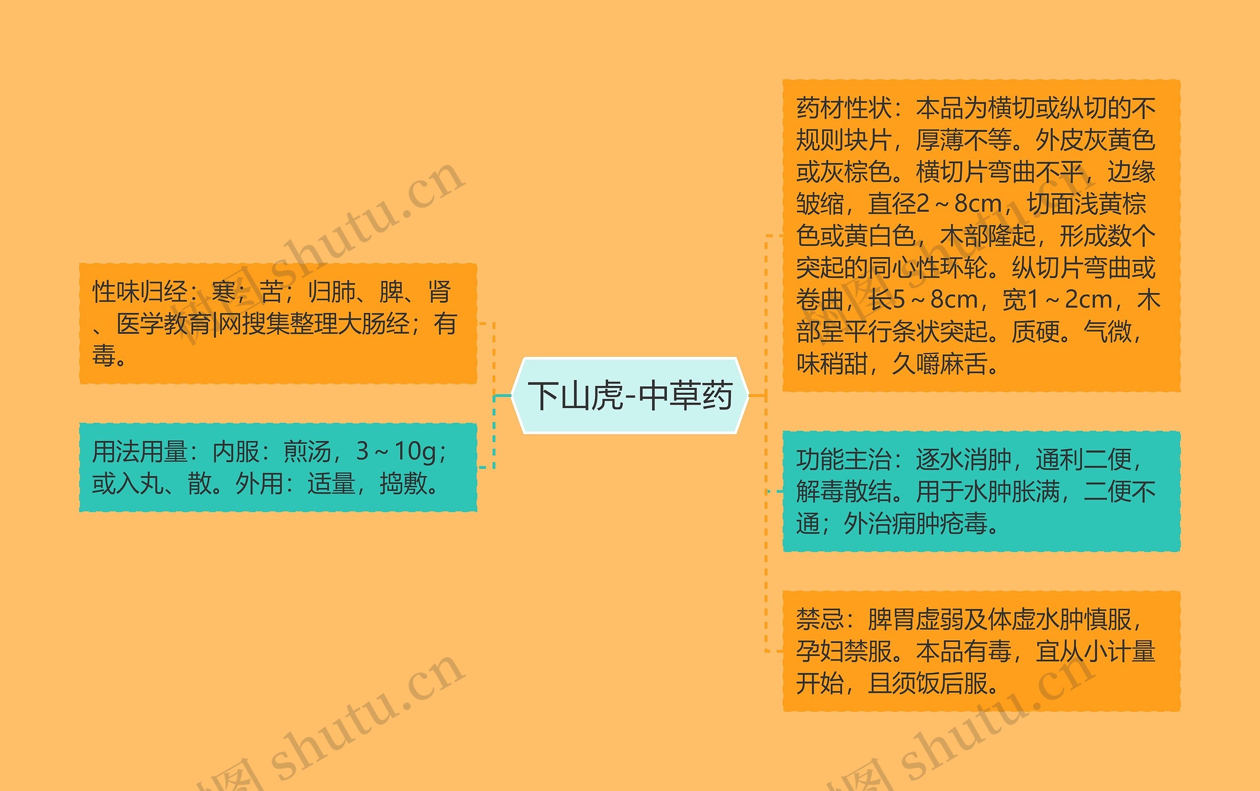 下山虎-中草药思维导图