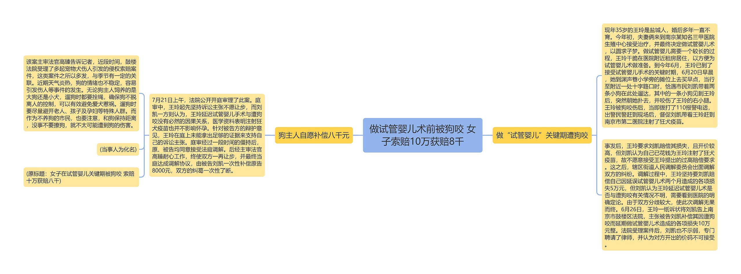 做试管婴儿术前被狗咬 女子索赔10万获赔8千思维导图