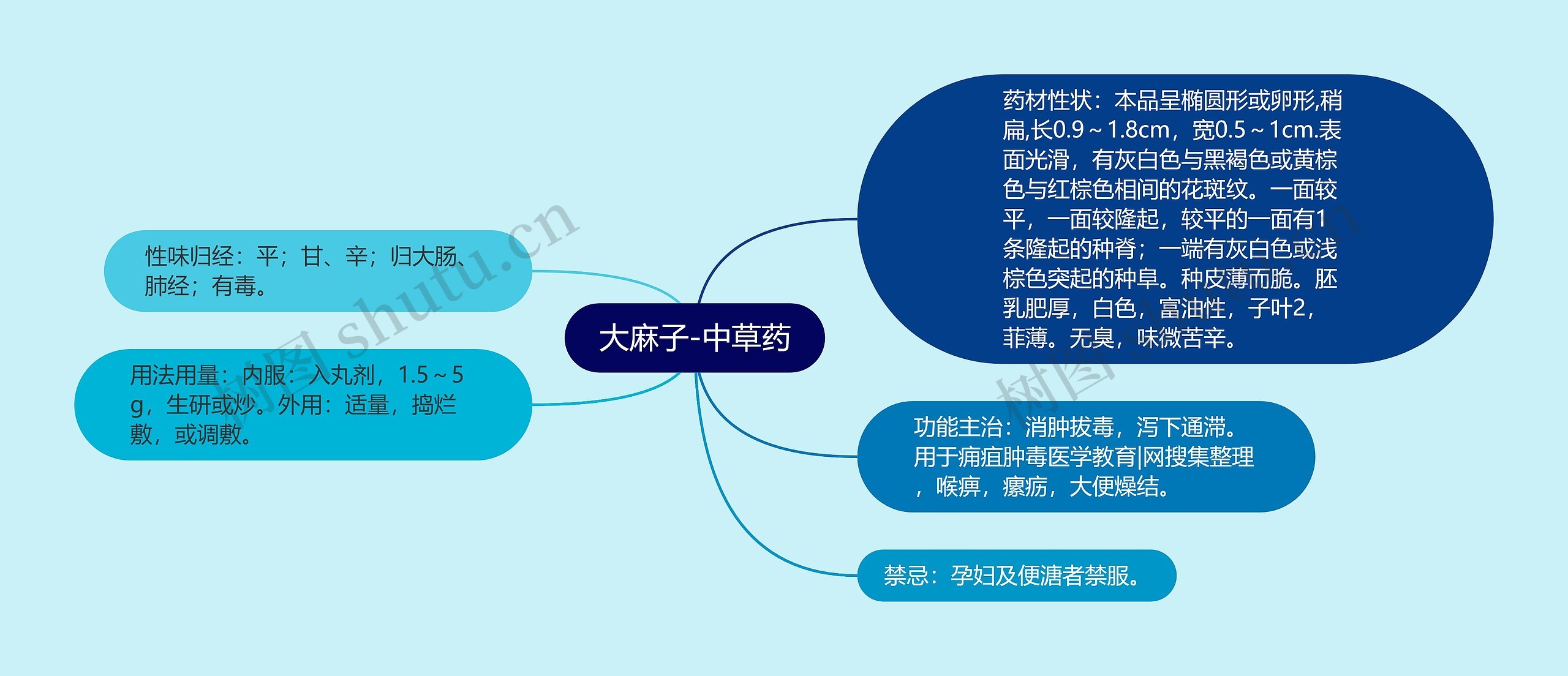 大麻子-中草药思维导图