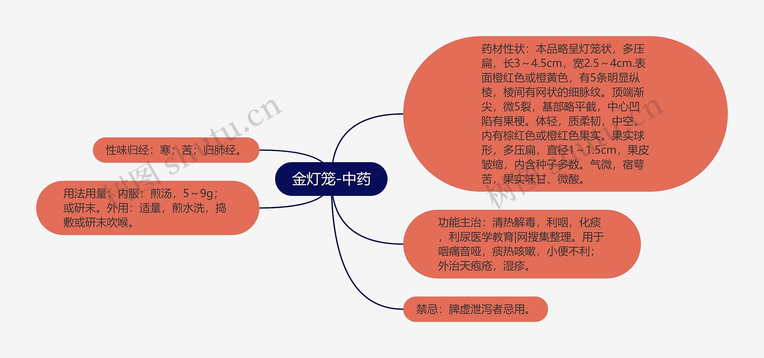 金灯笼-中药思维导图