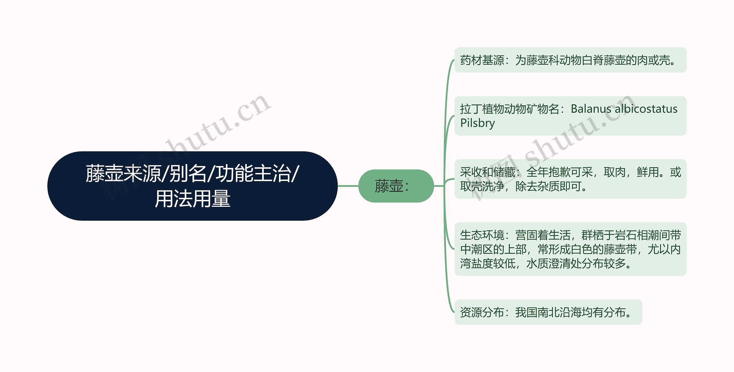 藤壶来源/别名/功能主治/用法用量