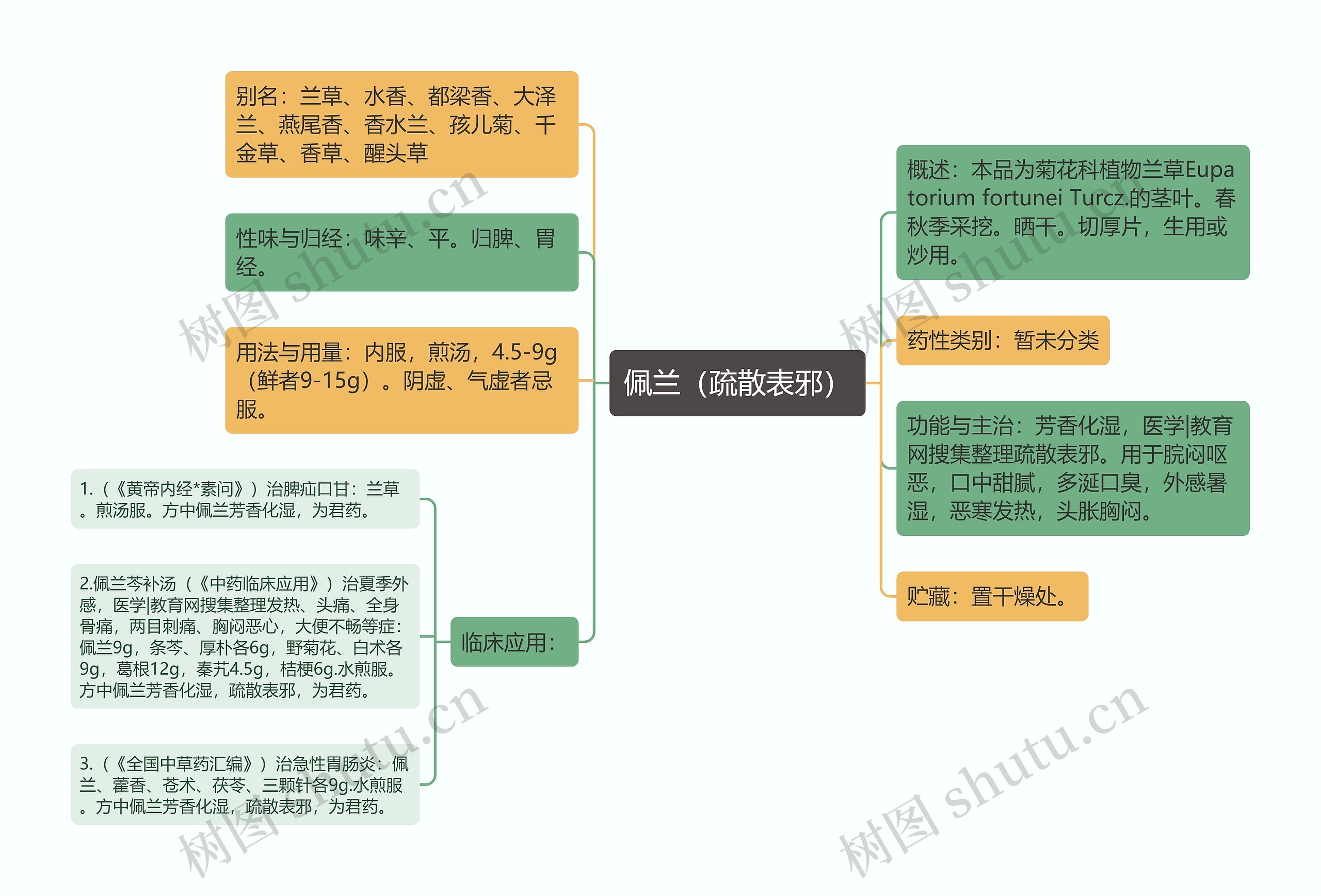 佩兰（疏散表邪）思维导图