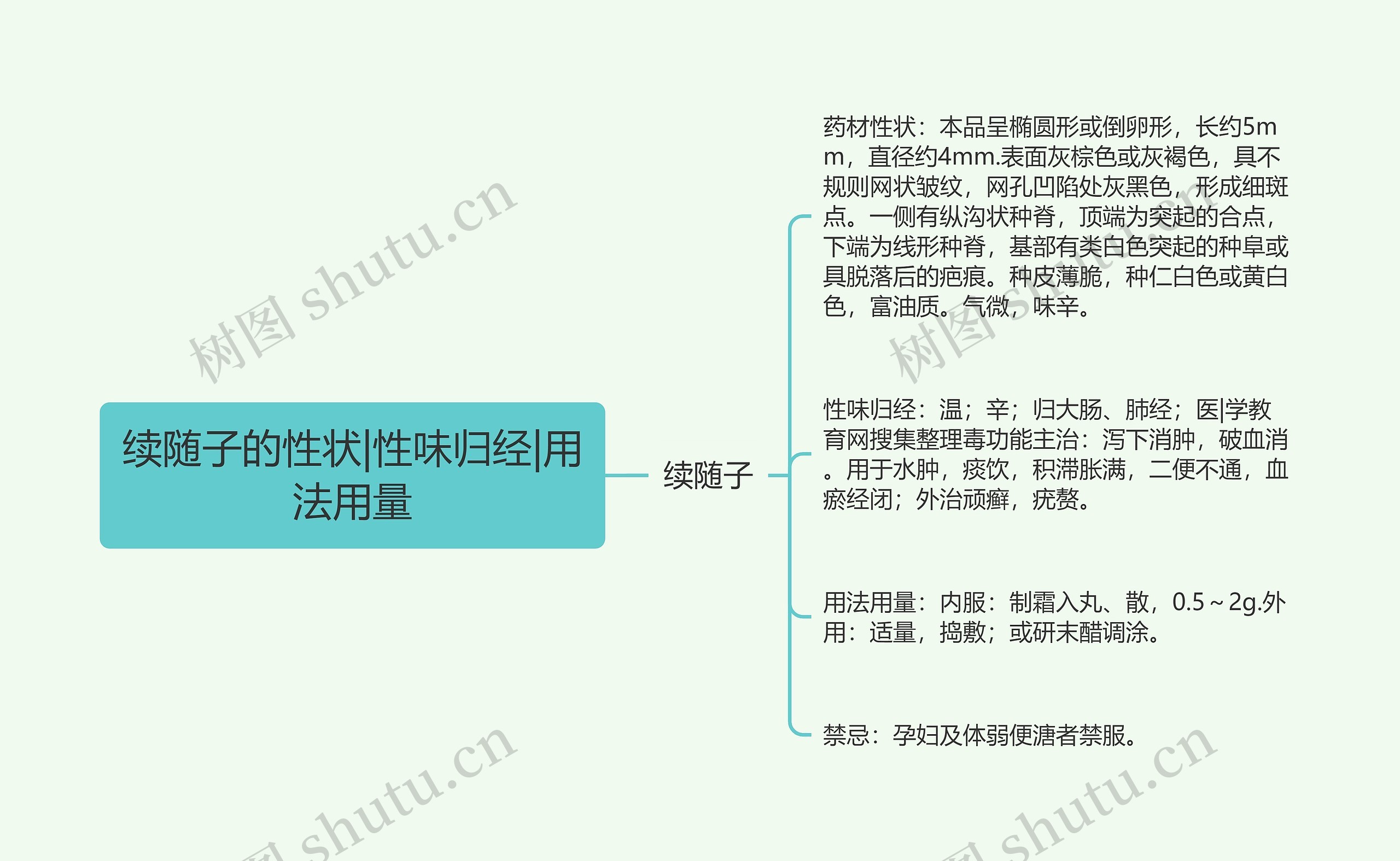续随子的性状|性味归经|用法用量 续随子的性状|性味归经|用法用量
