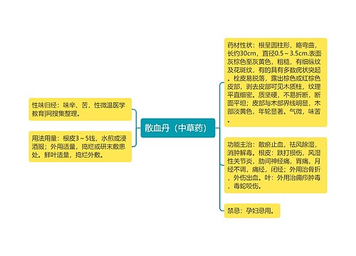 散血丹（中草药）