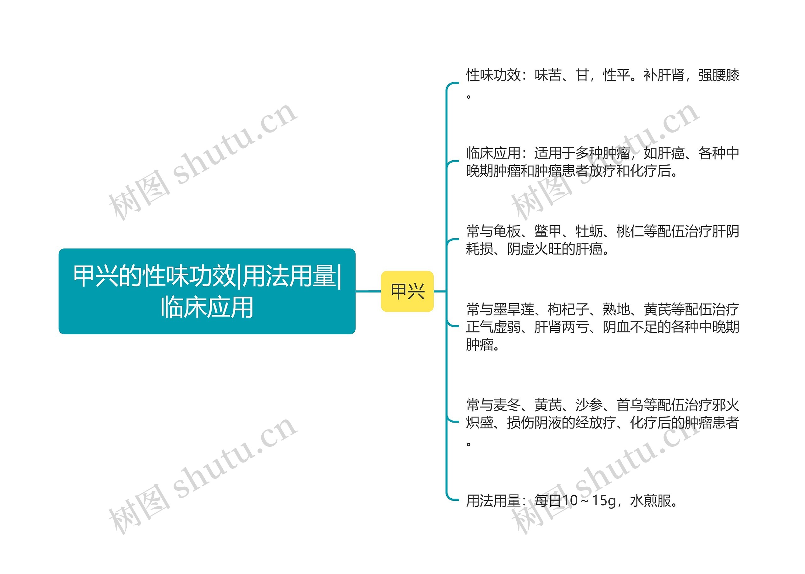 甲兴的性味功效|用法用量|临床应用思维导图